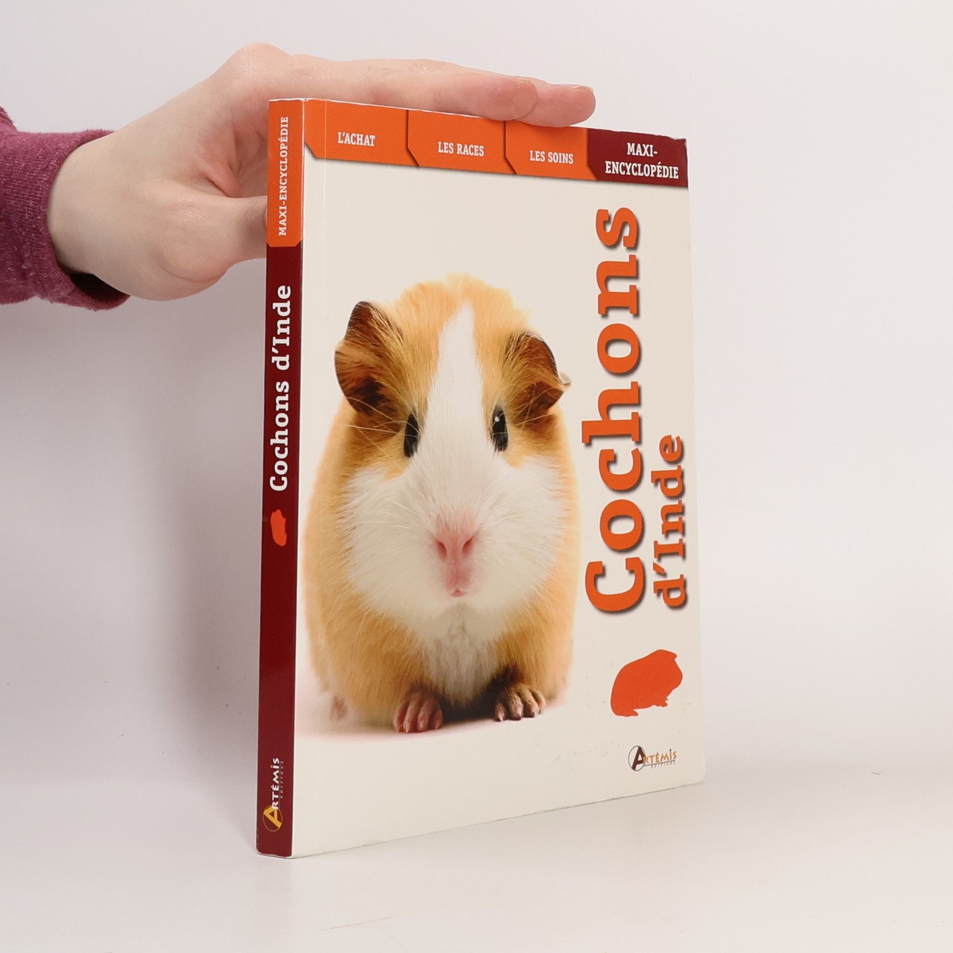 Collectif d'auteurs Cochons d'Inde