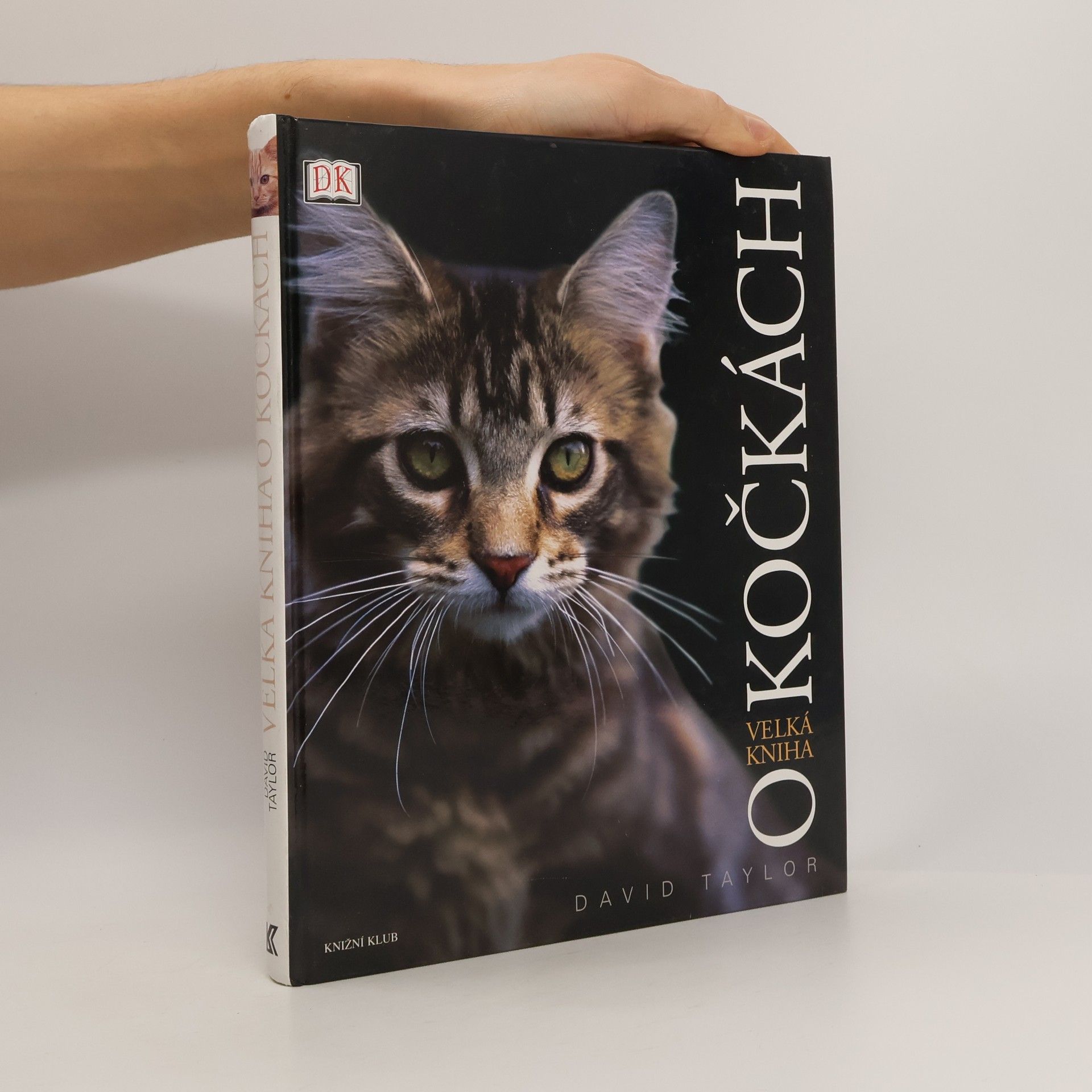 David Taylor Velká kniha o kočkách