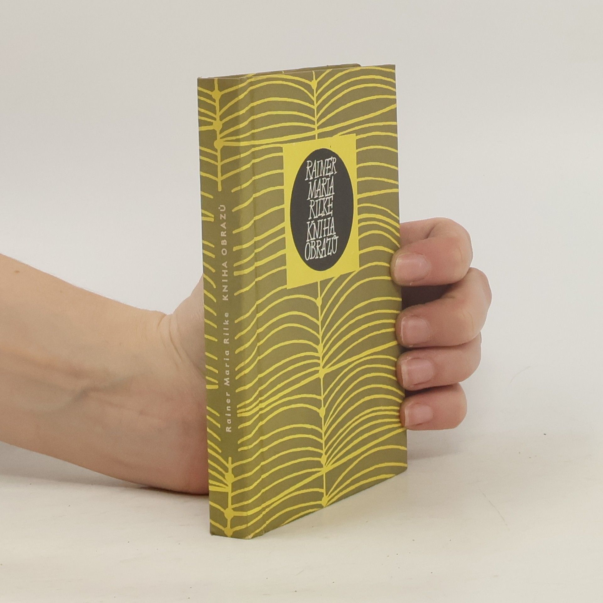 Rainer Maria Rilke Kniha obrazů