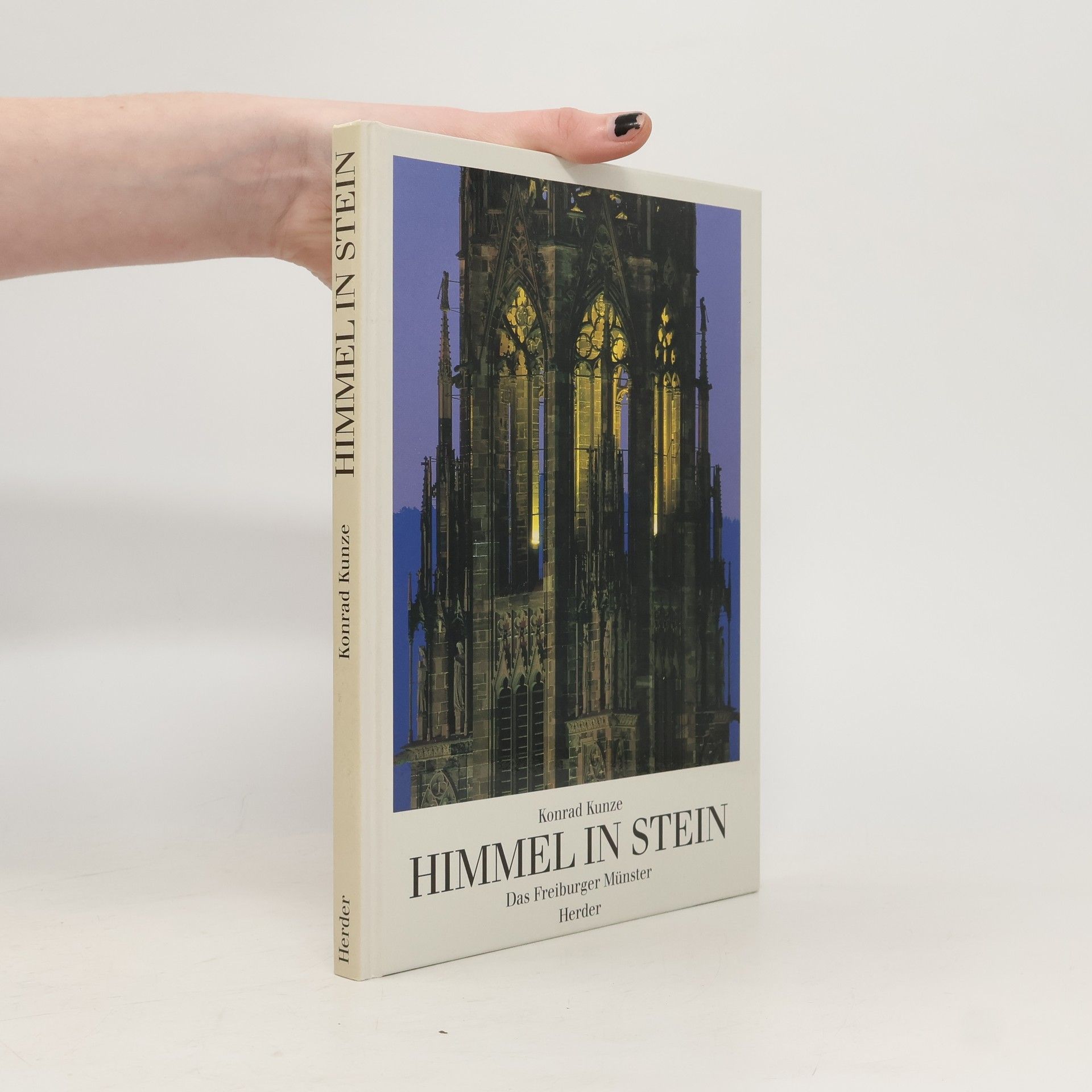 Himmel in Stein - das Freiburger Münster