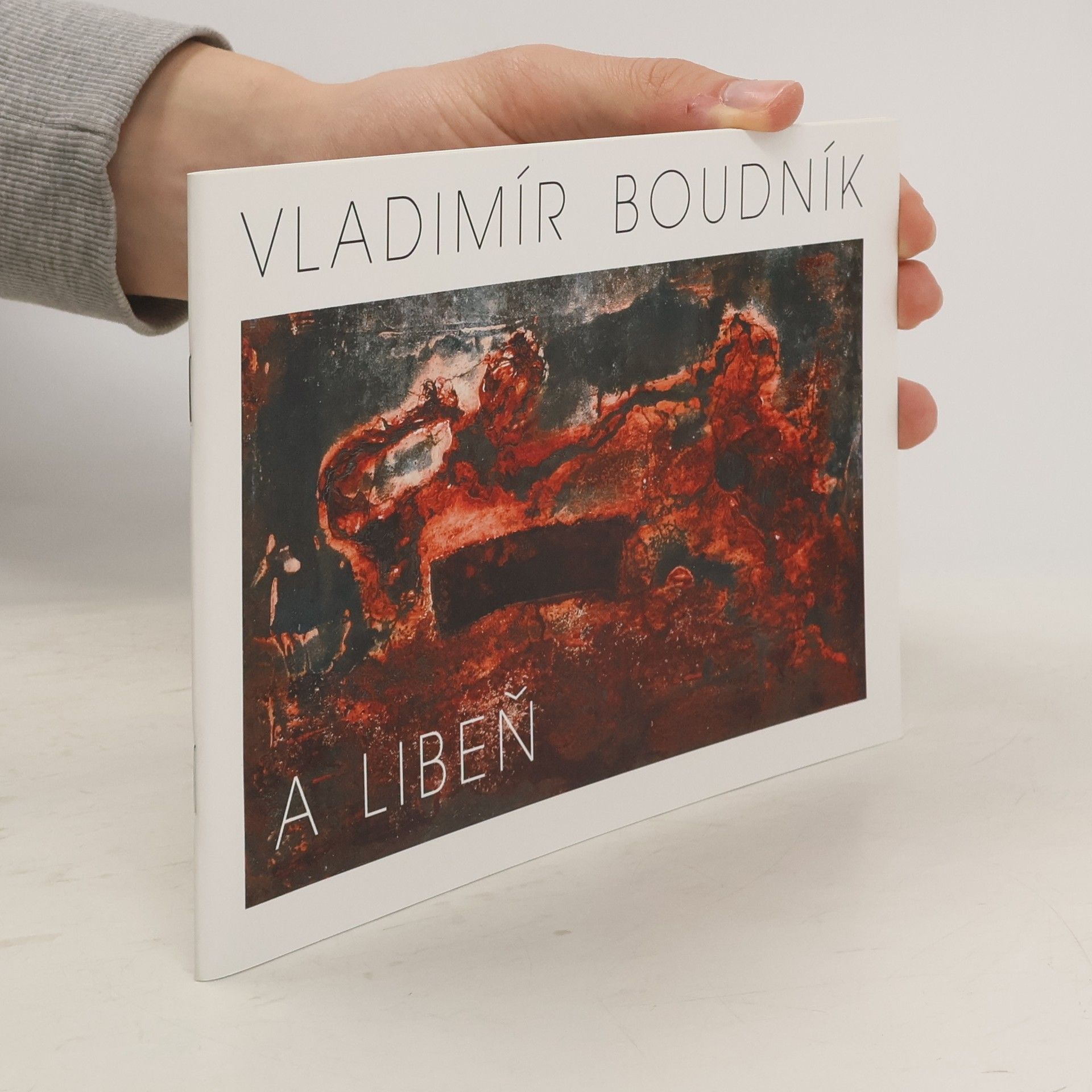 Vladimír Boudník a Libeň