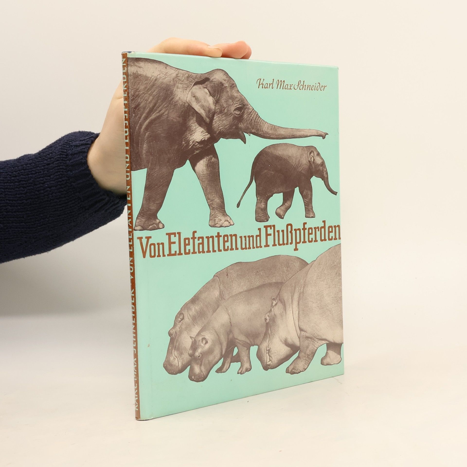 Karl Max Schneider Von Elefanten und Flußpferden