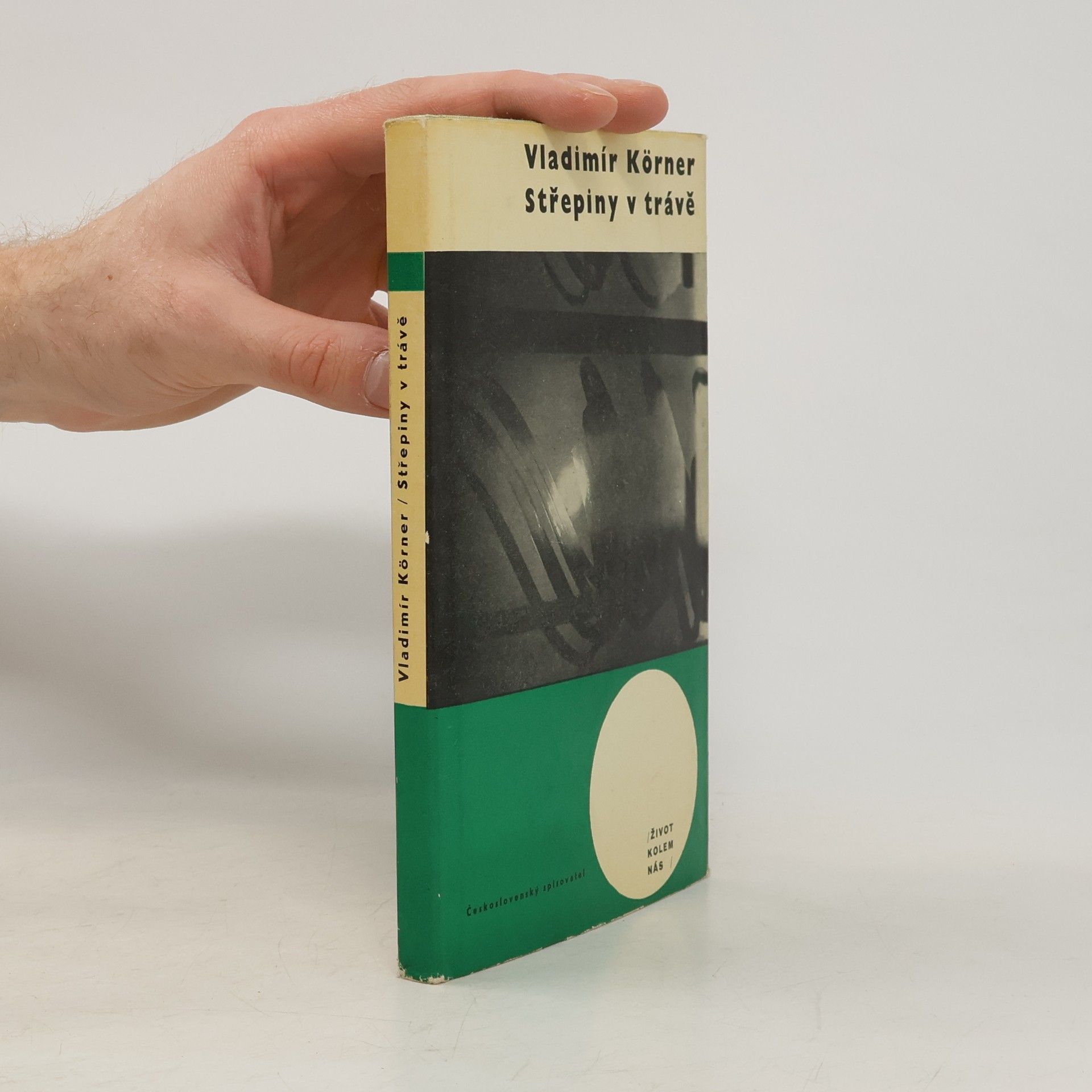 Vladimír Körner Střepiny v trávě