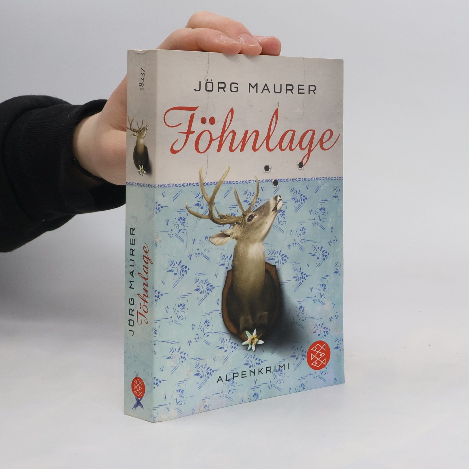 Jörg Maurer Föhnlage