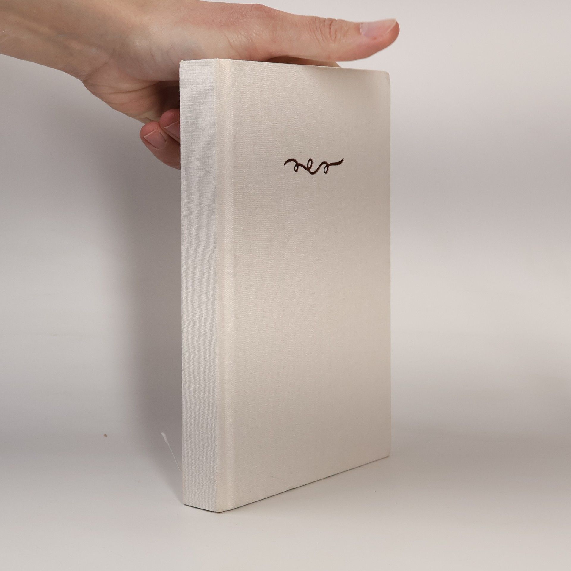 Autores varios Das einfachste Tagebuch der Welt