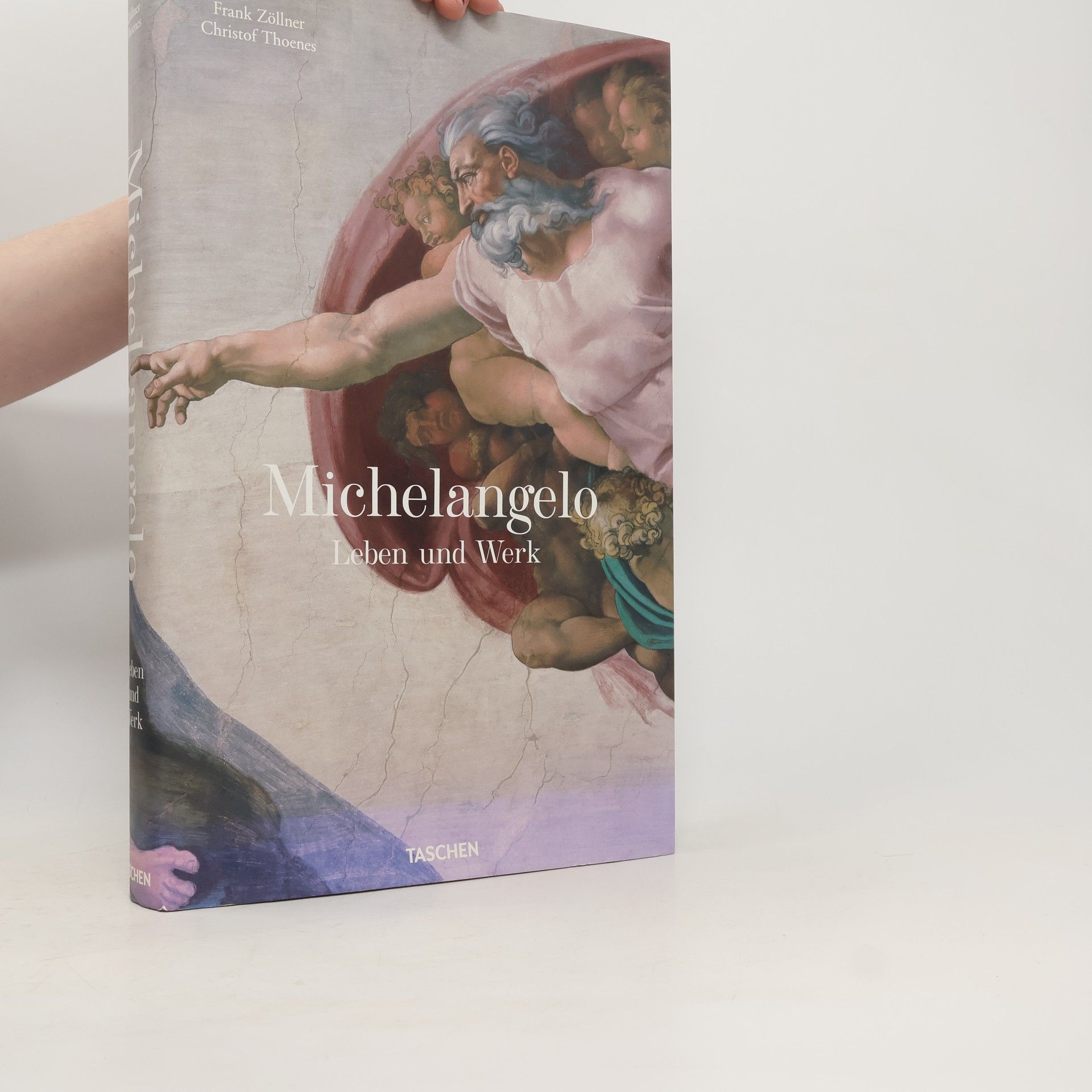 Frank Zöllner Michelangelo Leben und Werk