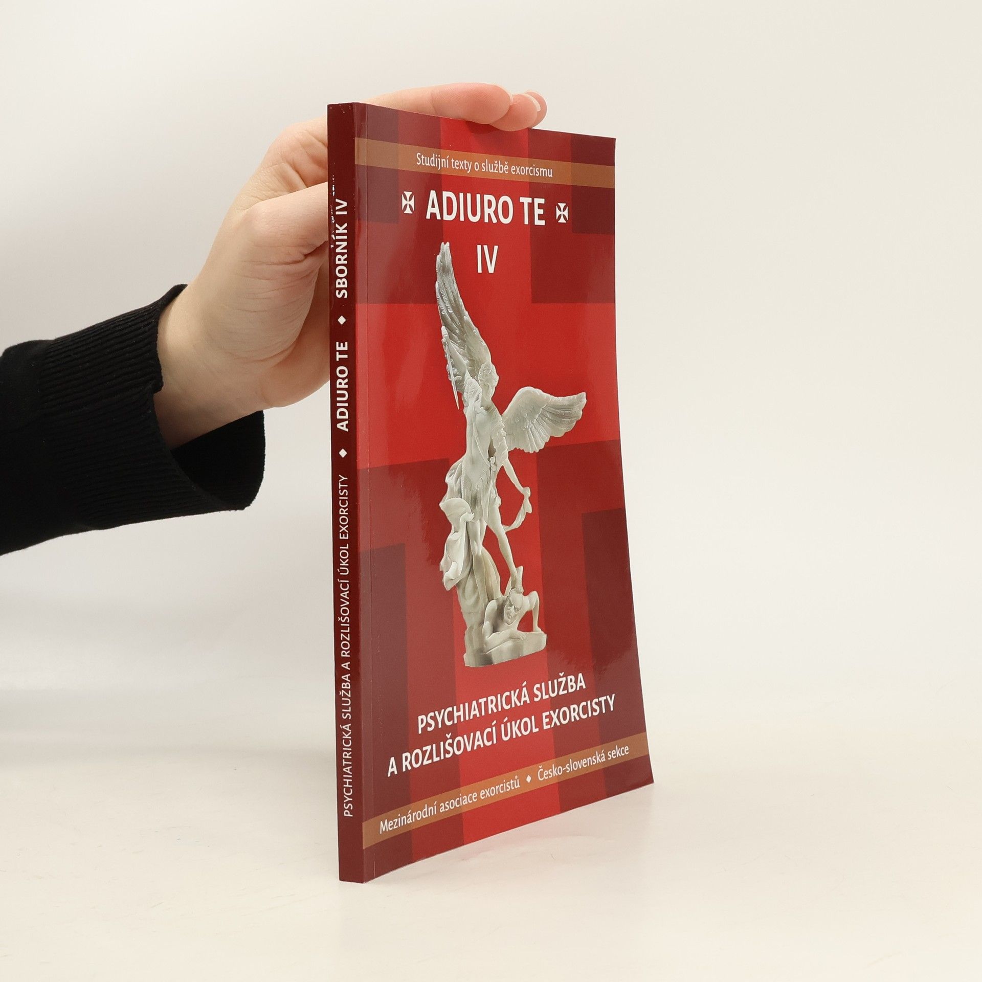 Adiuro te IV. Psychiatrická služba a rozlišovací úkol exorcisty