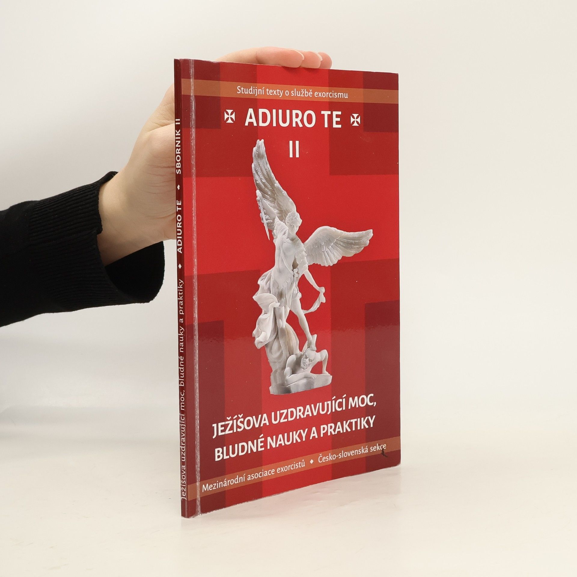 Autorenkollektiv Adiuro te II., Ježíšova uzdravující moc, bludné nauky a praktiky