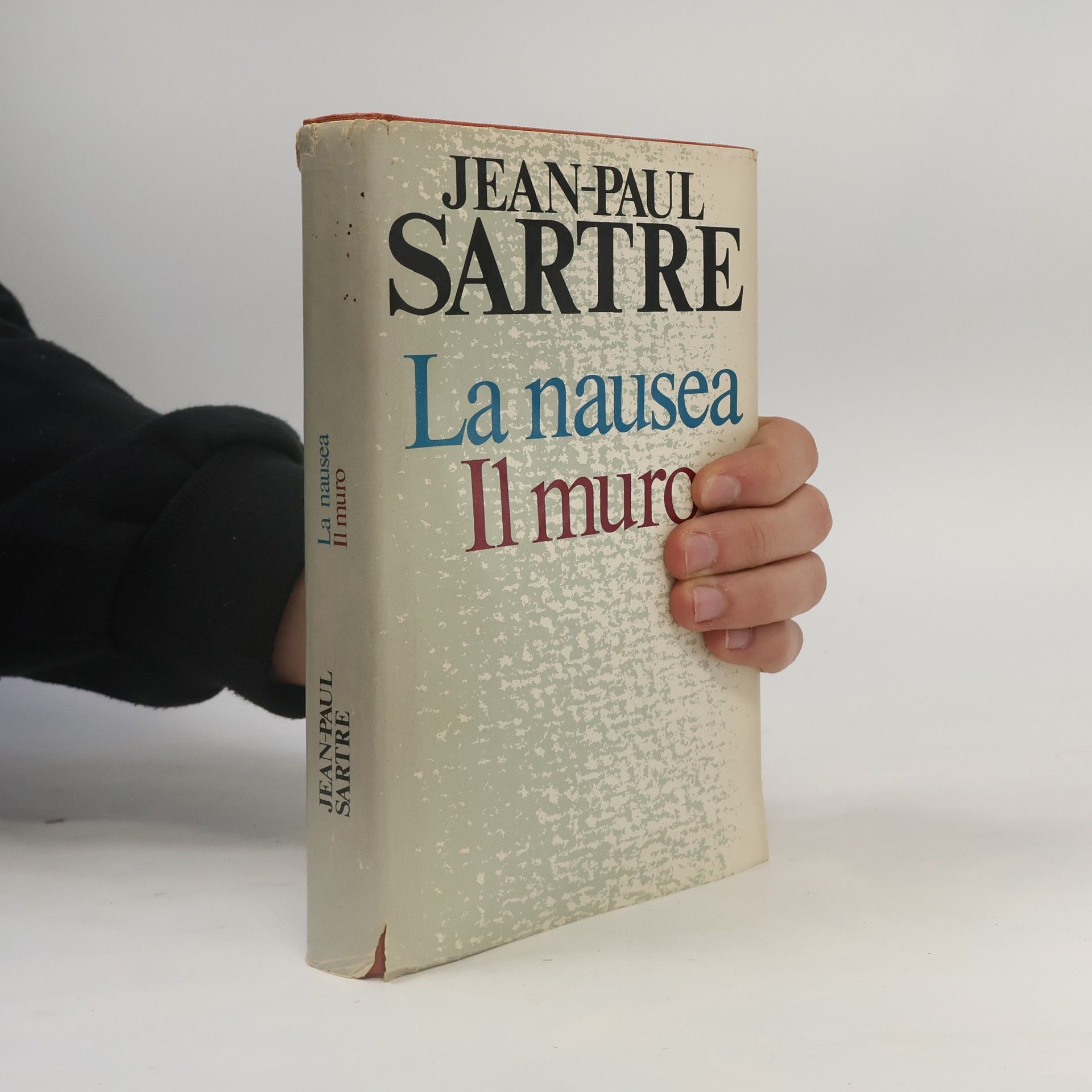 Jean Paul Sartre La nausea. Il muro