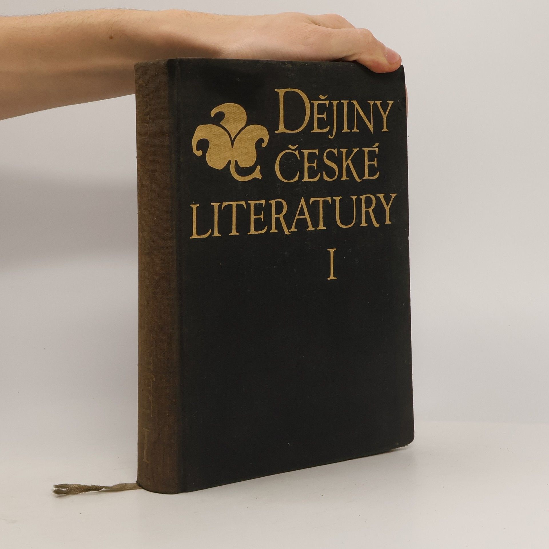 Autorenkollektiv Dějiny české literatury I. díl