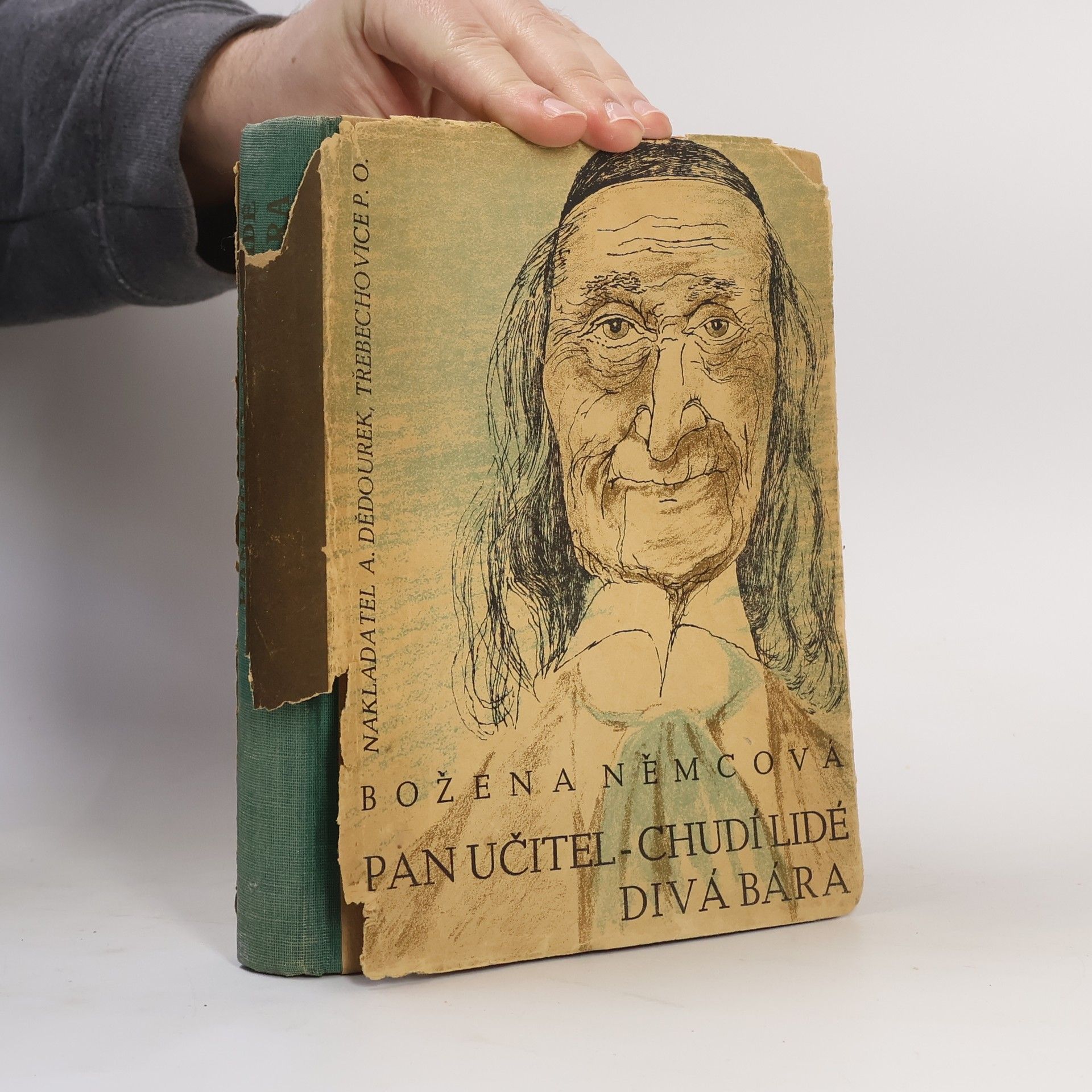 Božena Němcová Pan učitel. Chudí lidé. Divá Bára