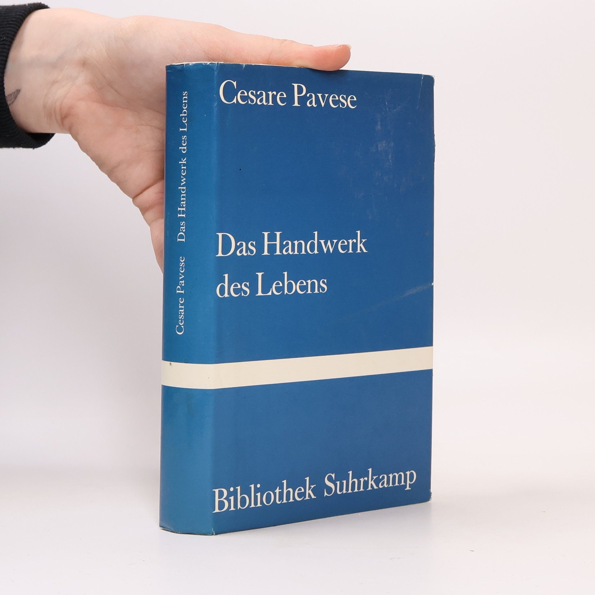 Cesare Pavese Das Handwerk des Lebens