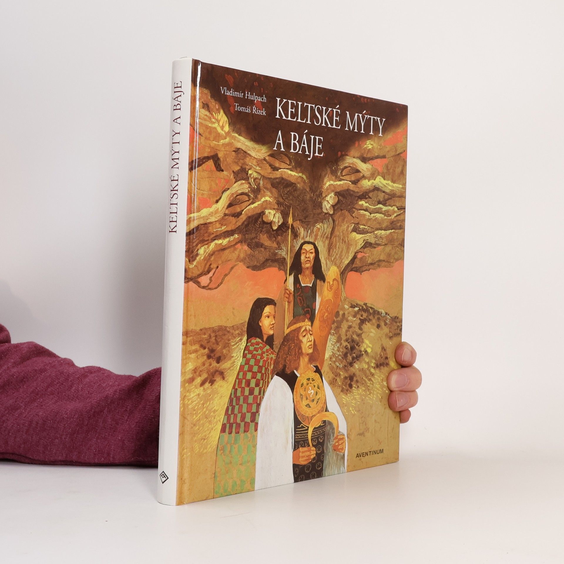 Vladimír Hulpach Keltské mýty a báje