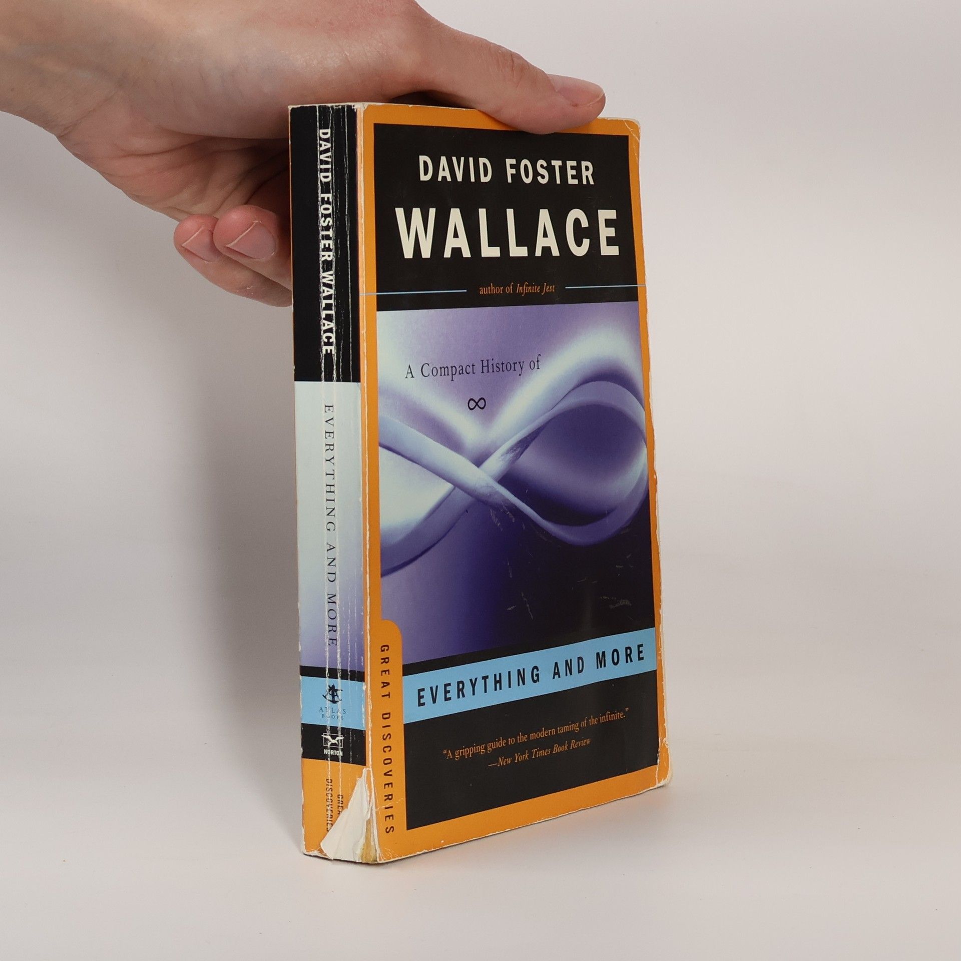 David Foster Wallace Great Discoveries: Everything and More