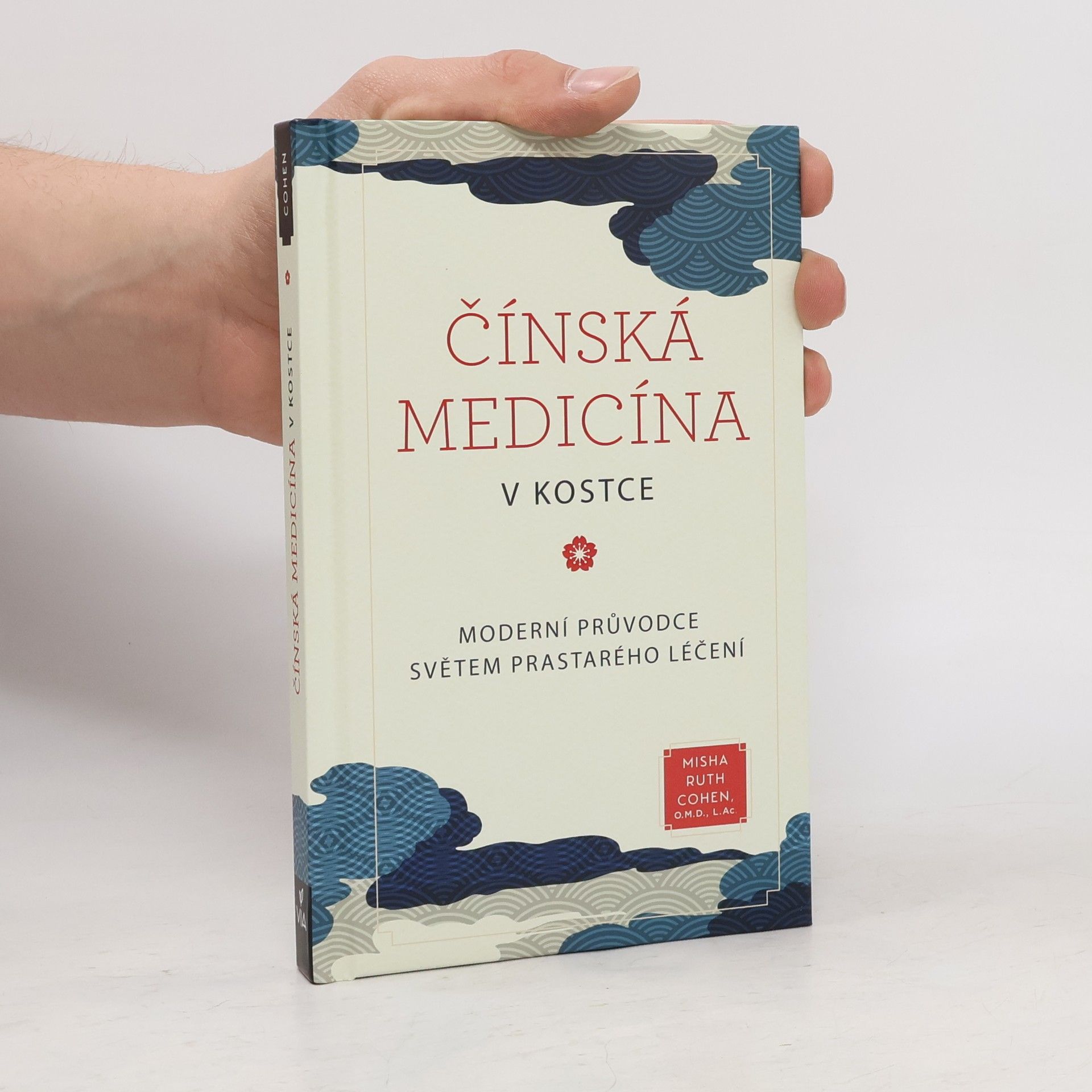 Misha Ruth Cohen Čínská medicína v kostce : moderní průvodce světem prastarého léčení