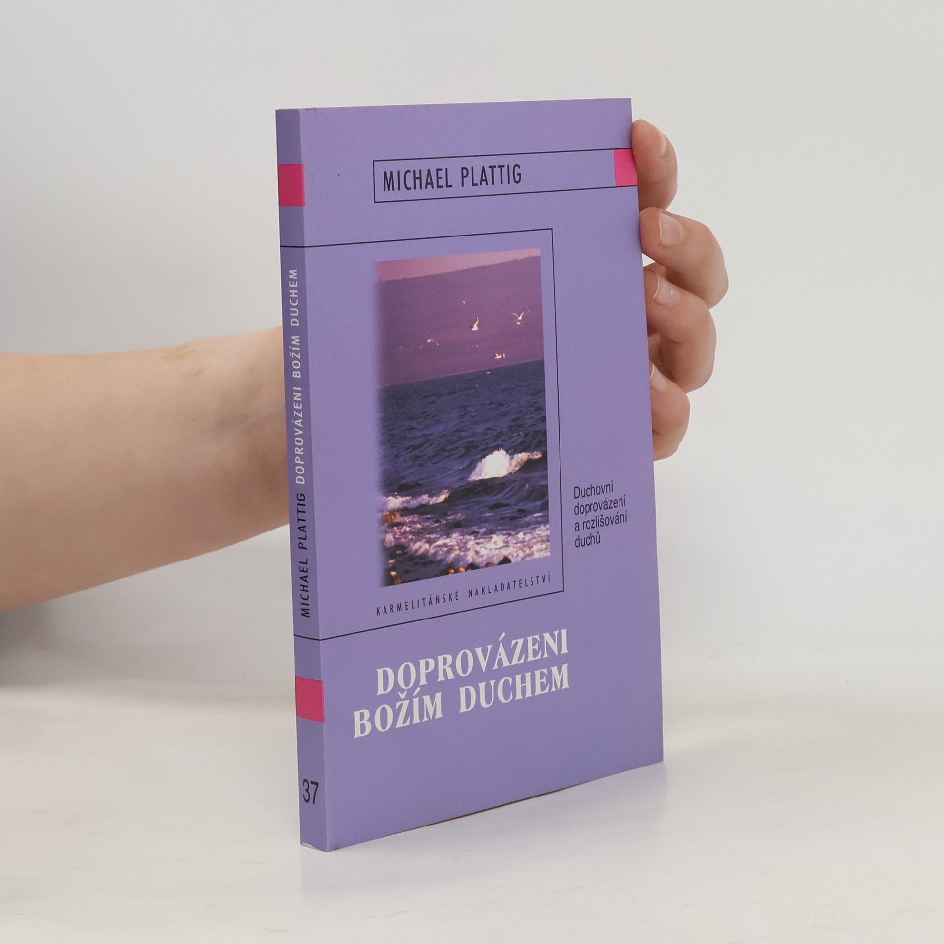 Michael Plattig Doprovázeni Božím duchem