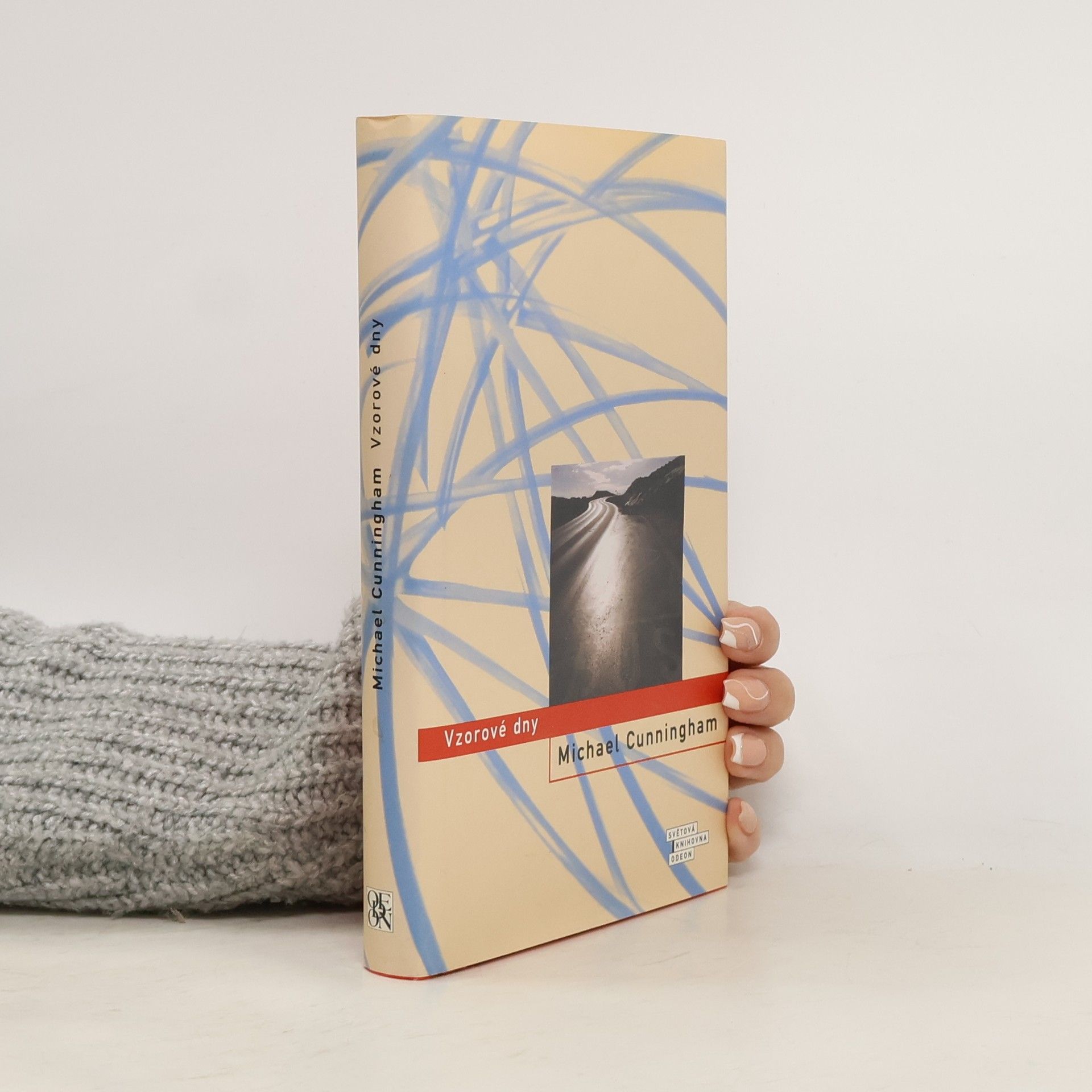 Michael Cunningham Vzorové dny