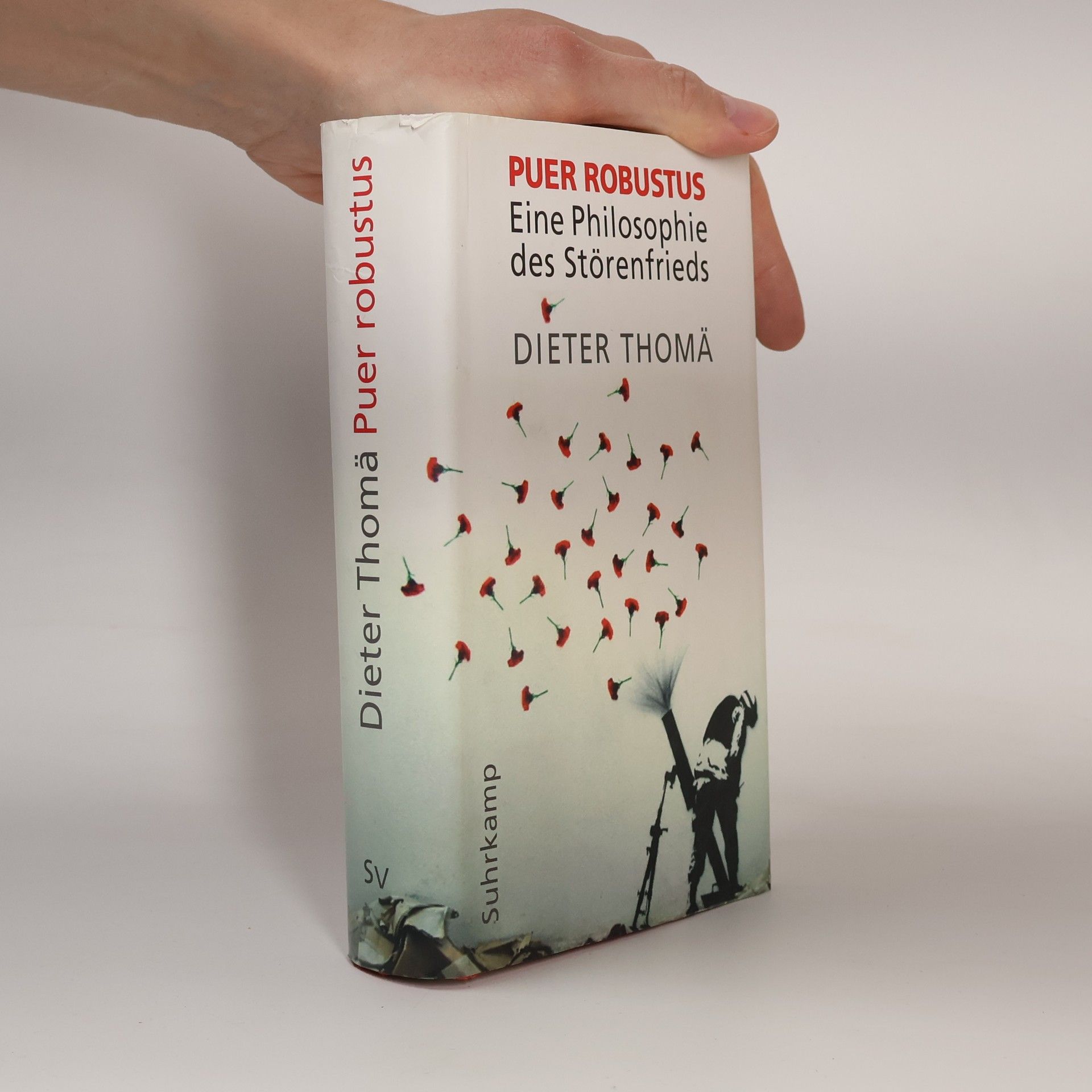 Dieter Thomä Puer robustus