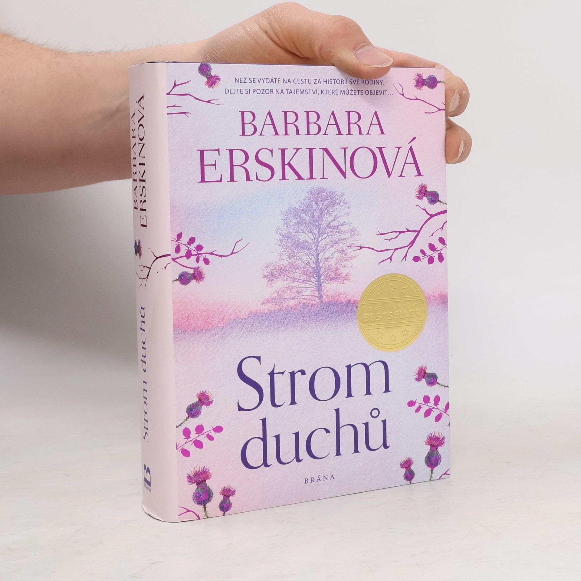 Barbara Erskine Strom duchů