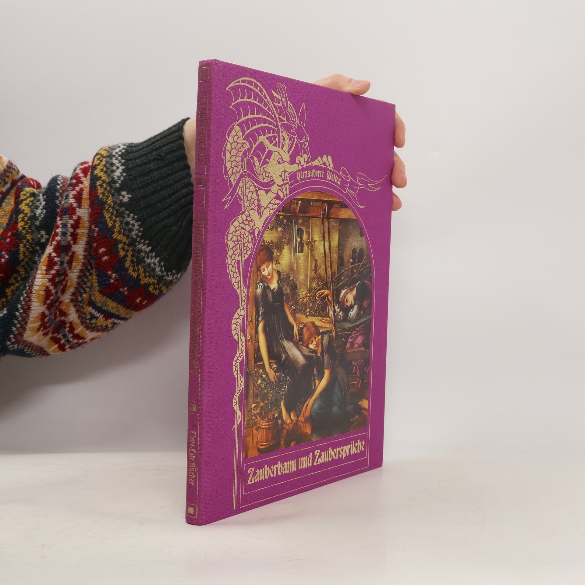 Patricia N. MacKinney Zauberbann und Zaubersprüche