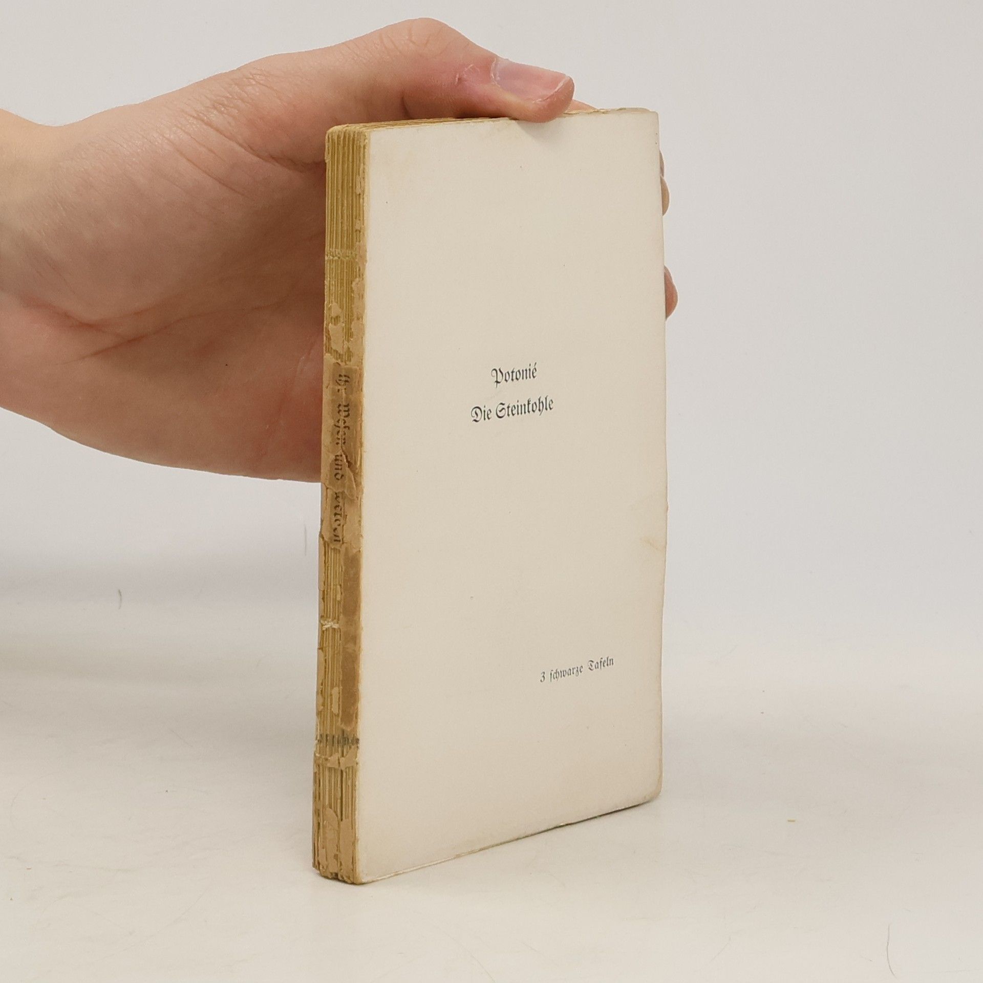 Henry Potonié Die Steinkohle, Ihr Wesen Und Werden