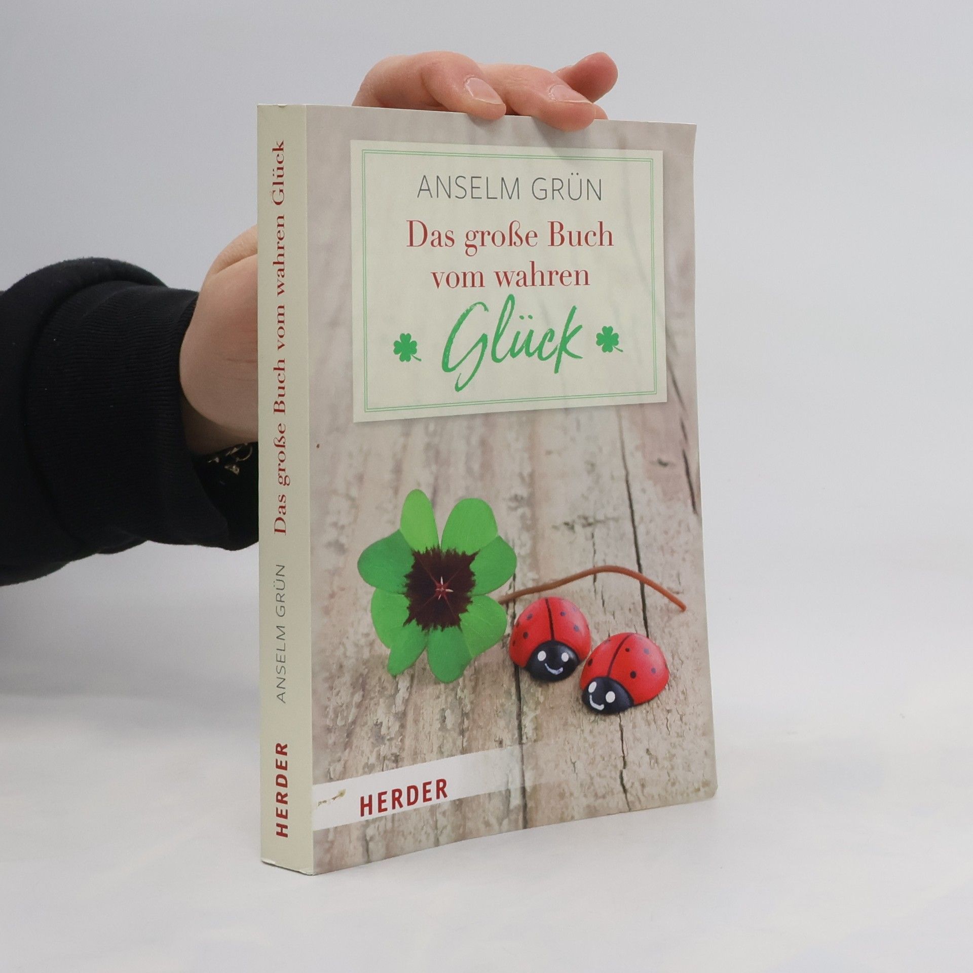 Anselm Grün Das große Buch vom wahren Glück