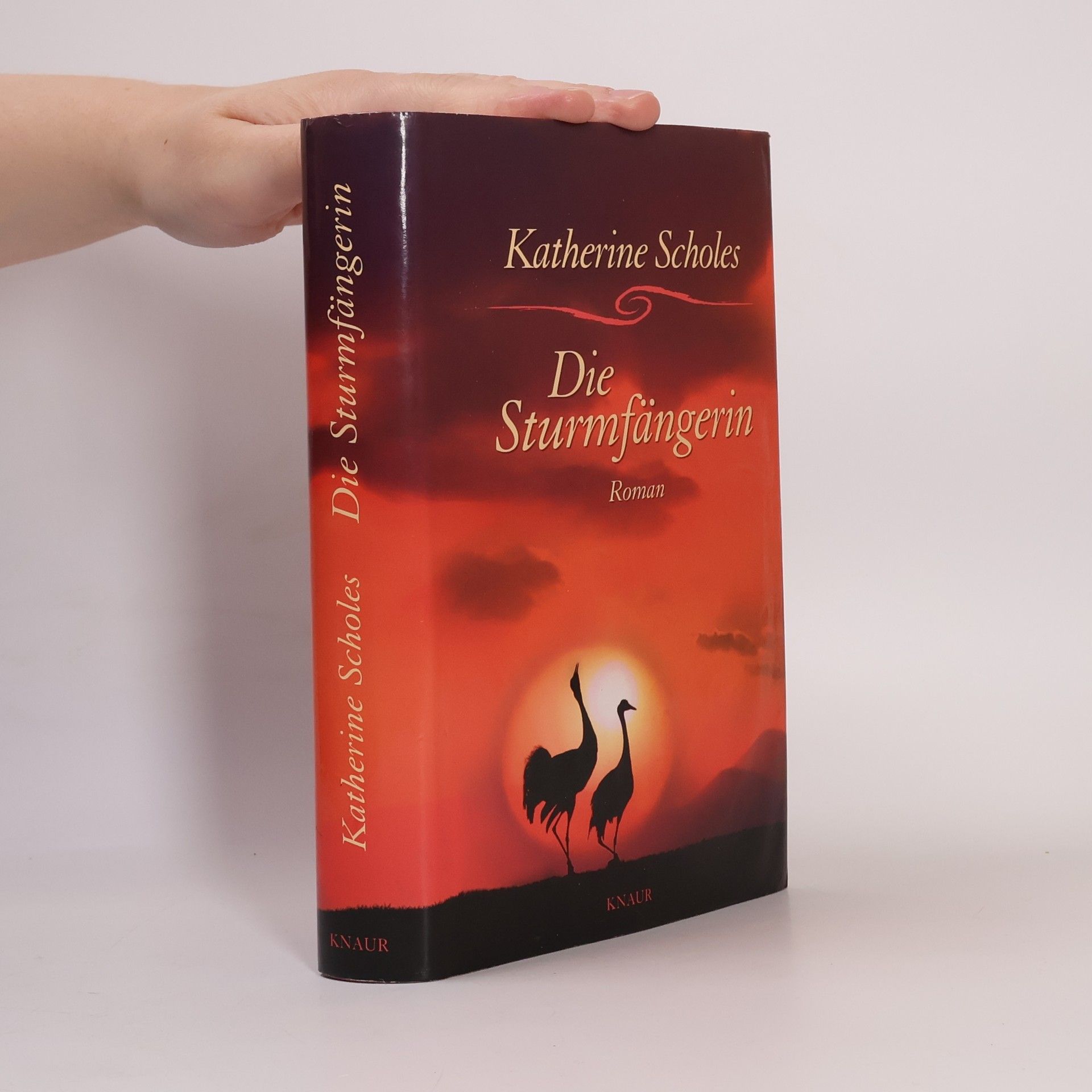 Katherine Scholes Die Sturmfängerin