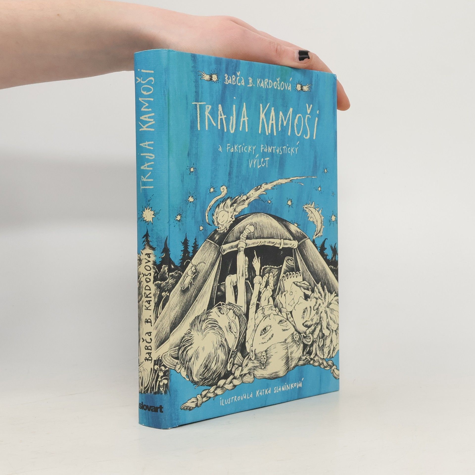 Barbora Kardošová Traja kamoši a fakticky fantastický výlet