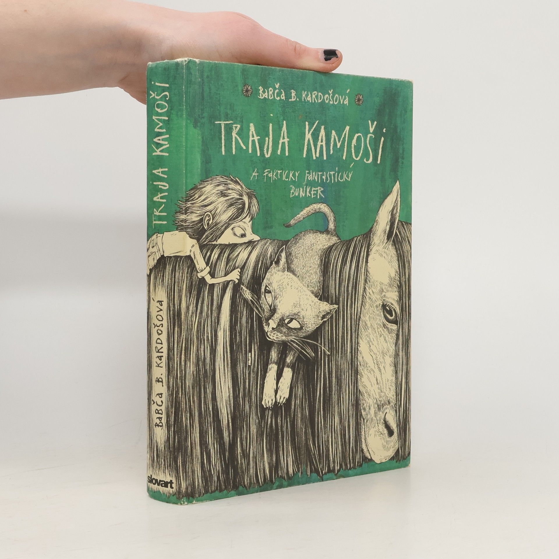 Barbora Kardošová Traja kamoši a fakticky fantastický bunker