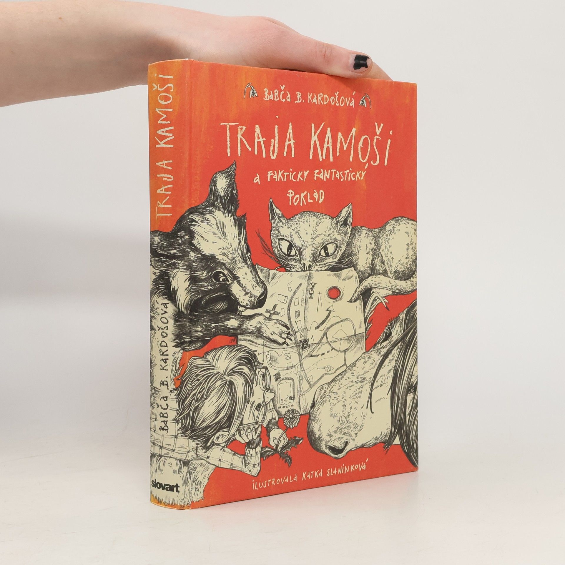 Barbora Kardošová Traja kamoši a fakticky fantastický poklad