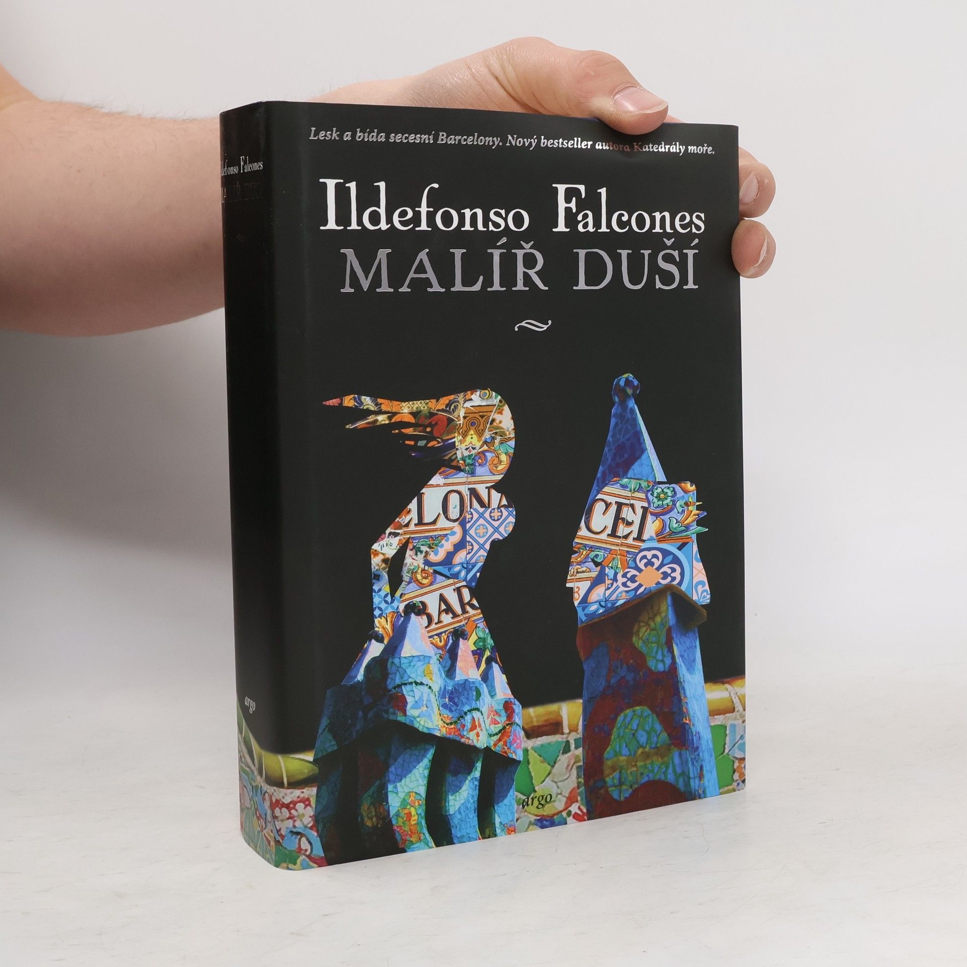 Ildefonso Falcones Malíř duší