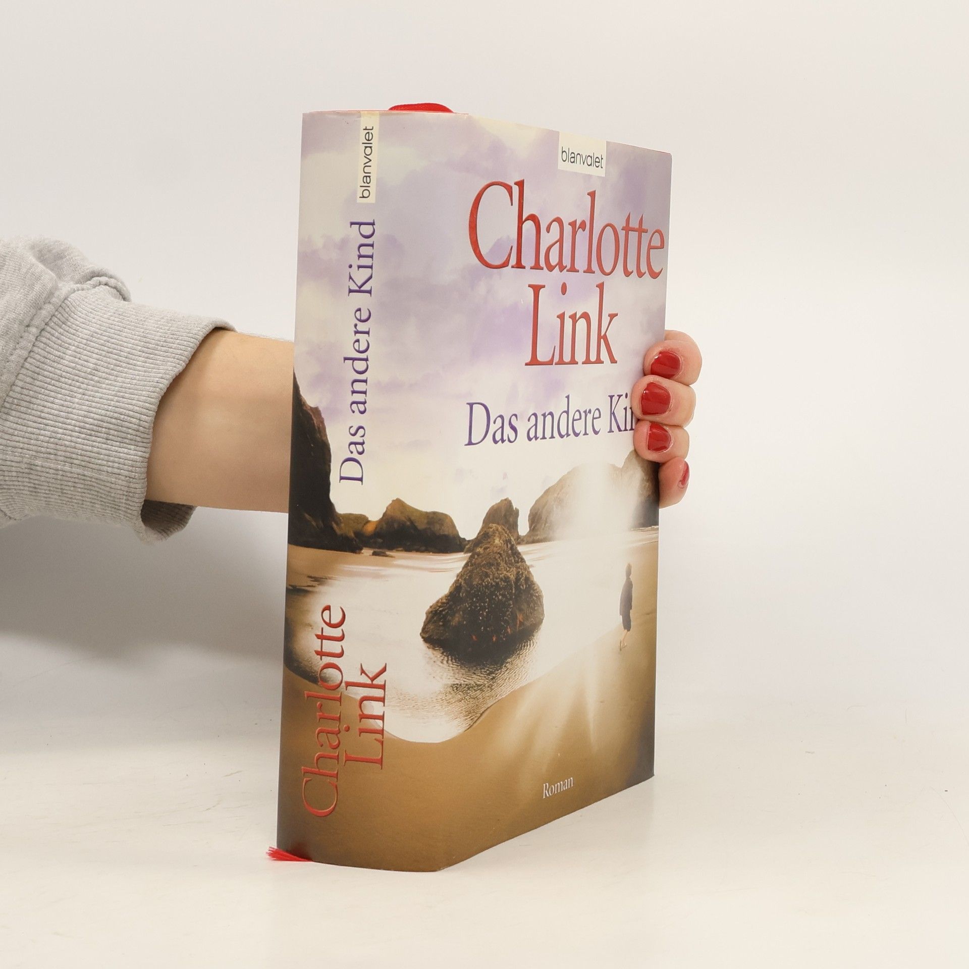 Charlotte Link Das andere Kind