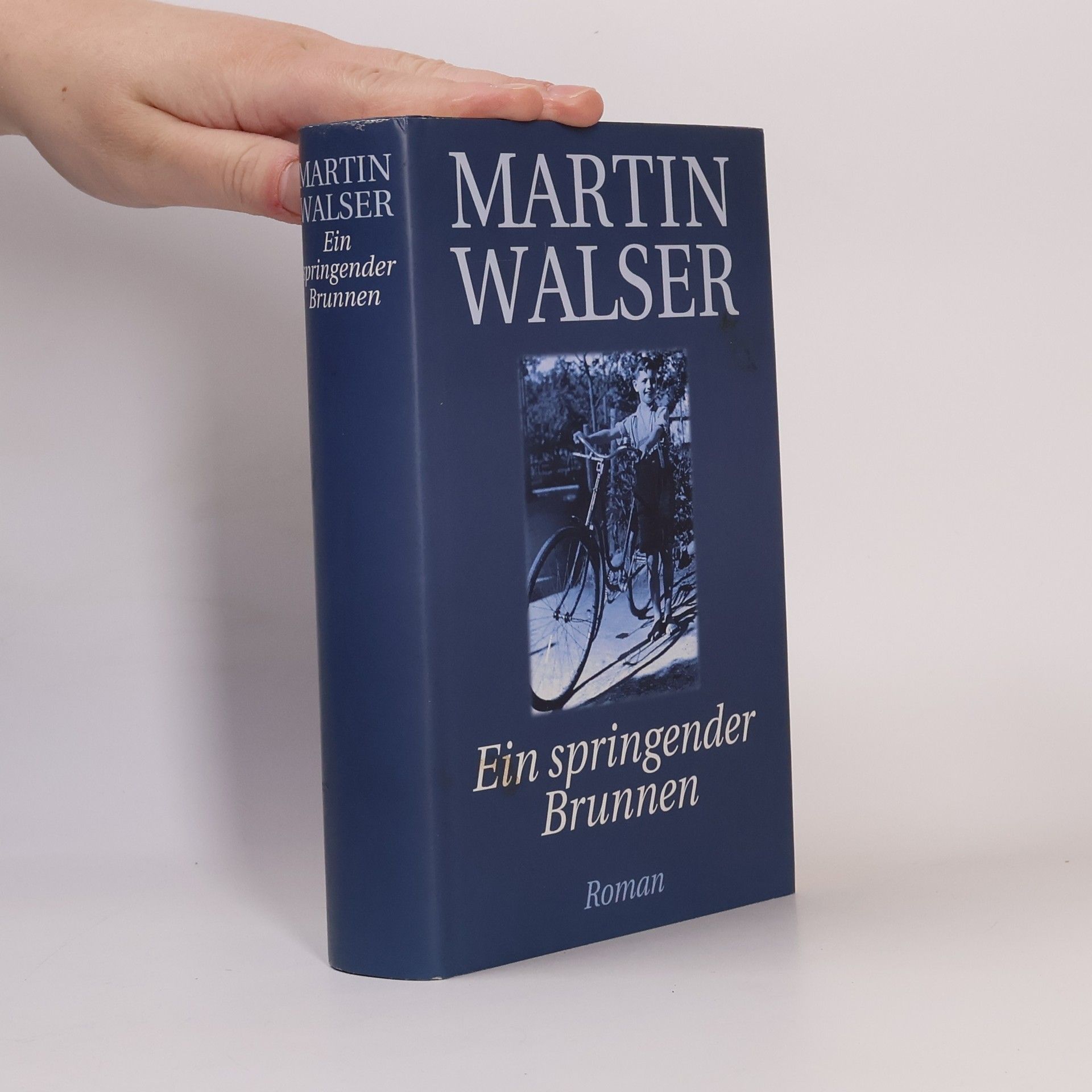 Martin Walser Ein springender Brunnen