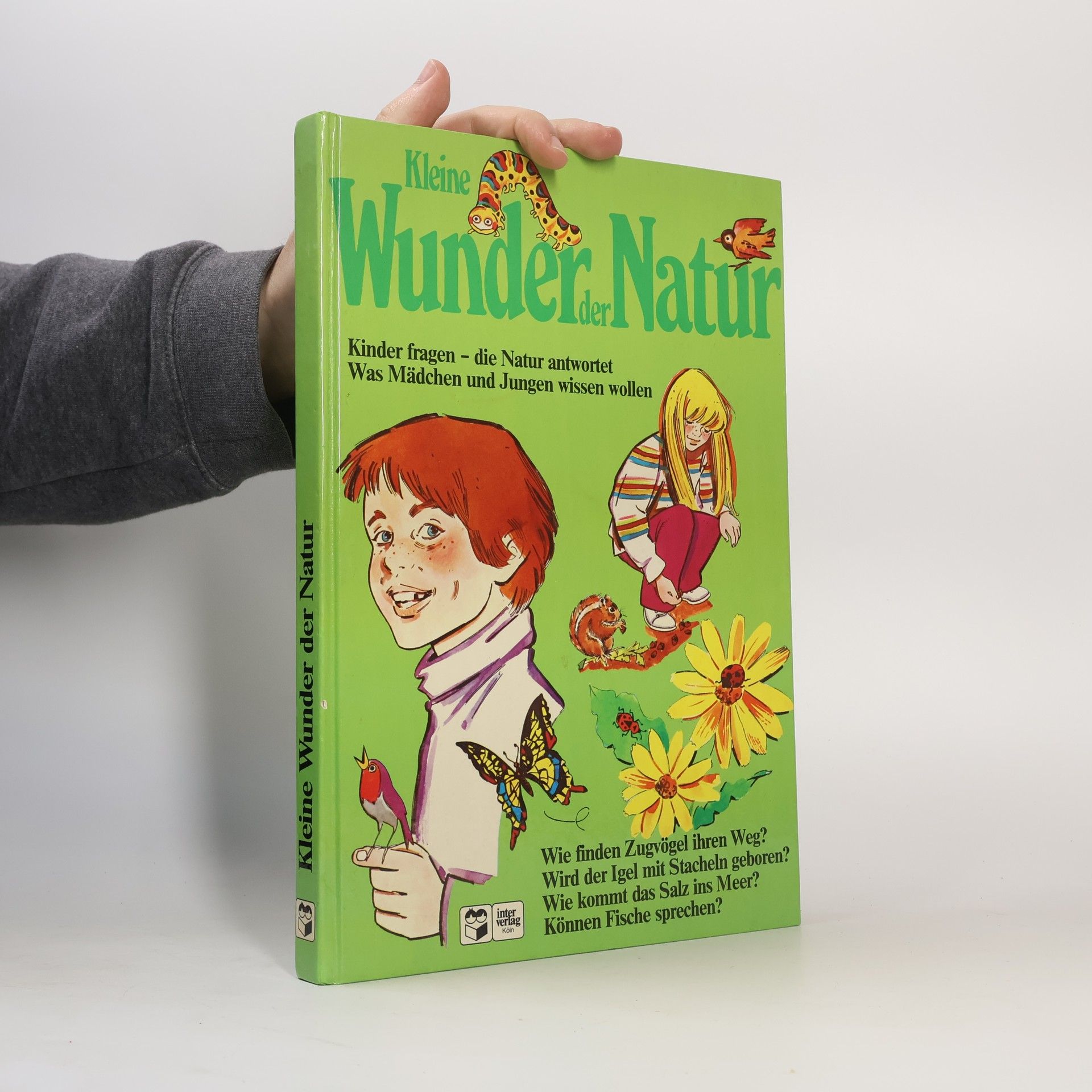 Collectif d'auteurs Kleine Wunder der Natur