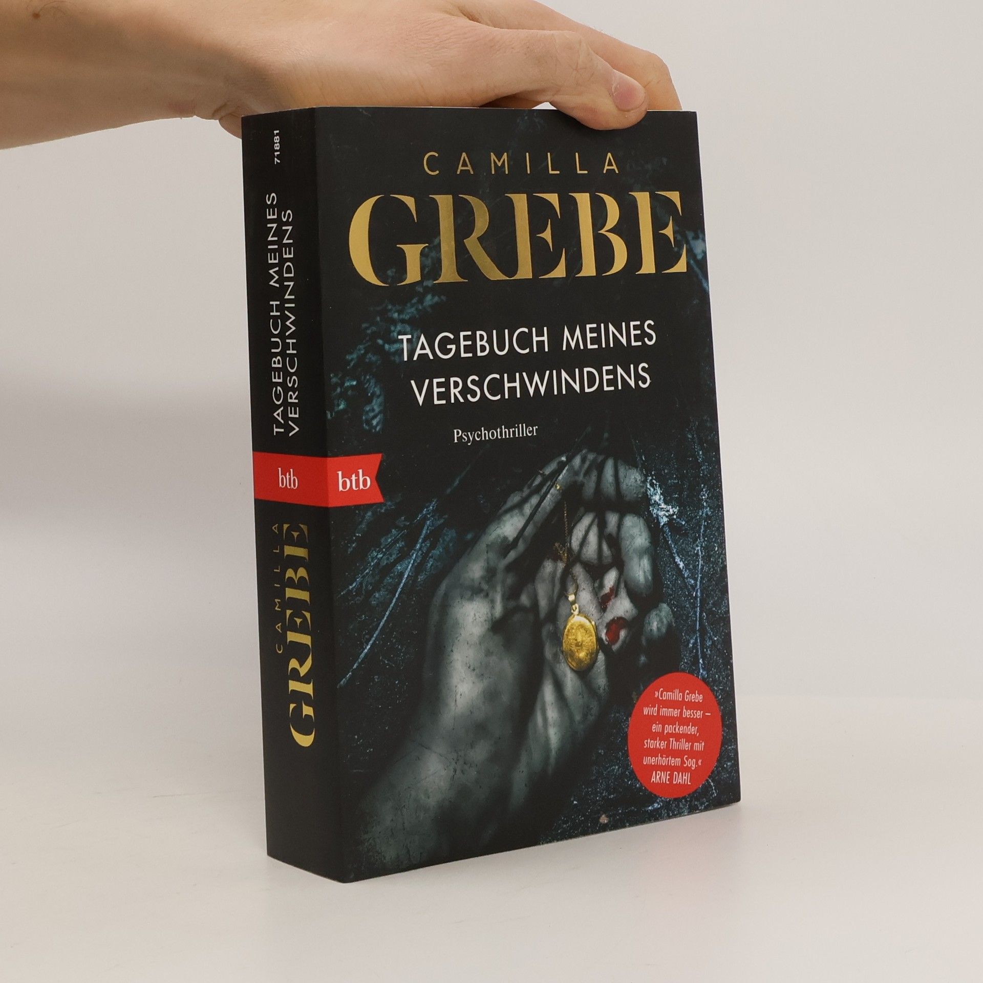 Camilla Grebe Tagebuch meines Verschwindens