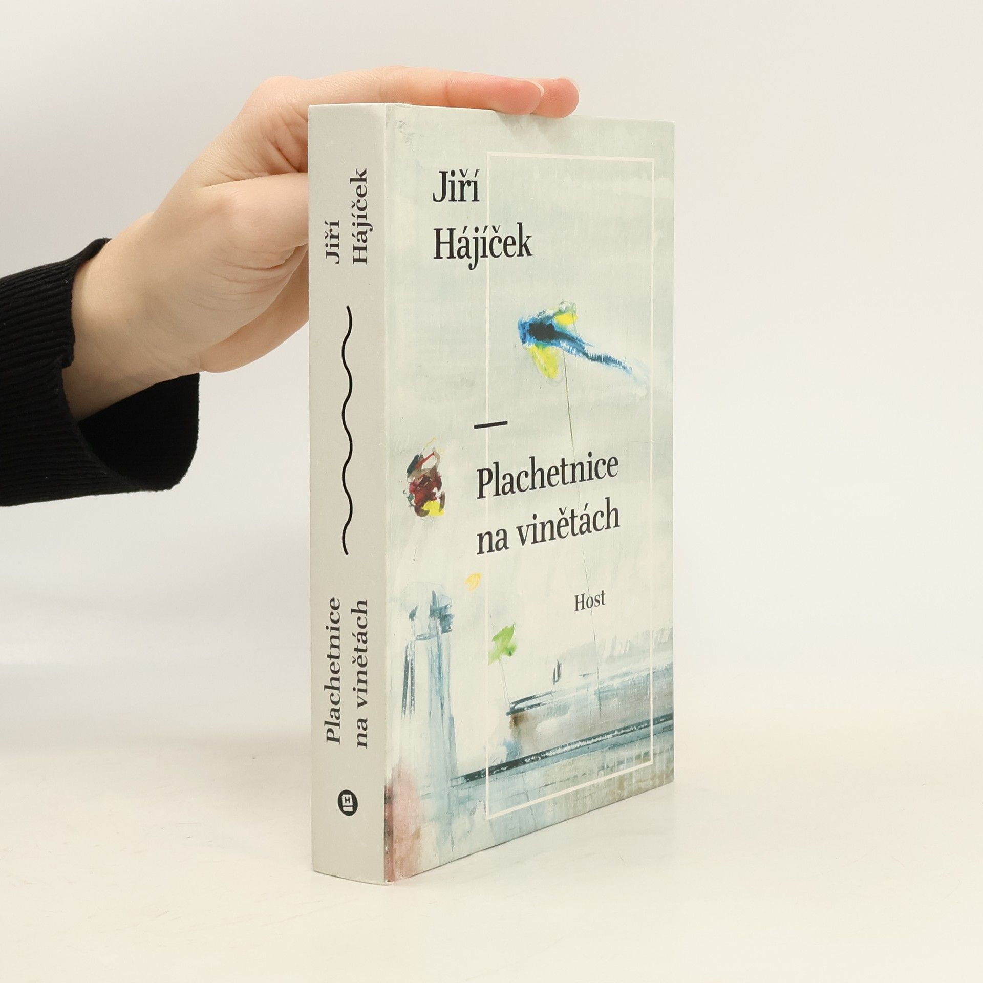 Jiří Hájíček Plachetnice na vinětách