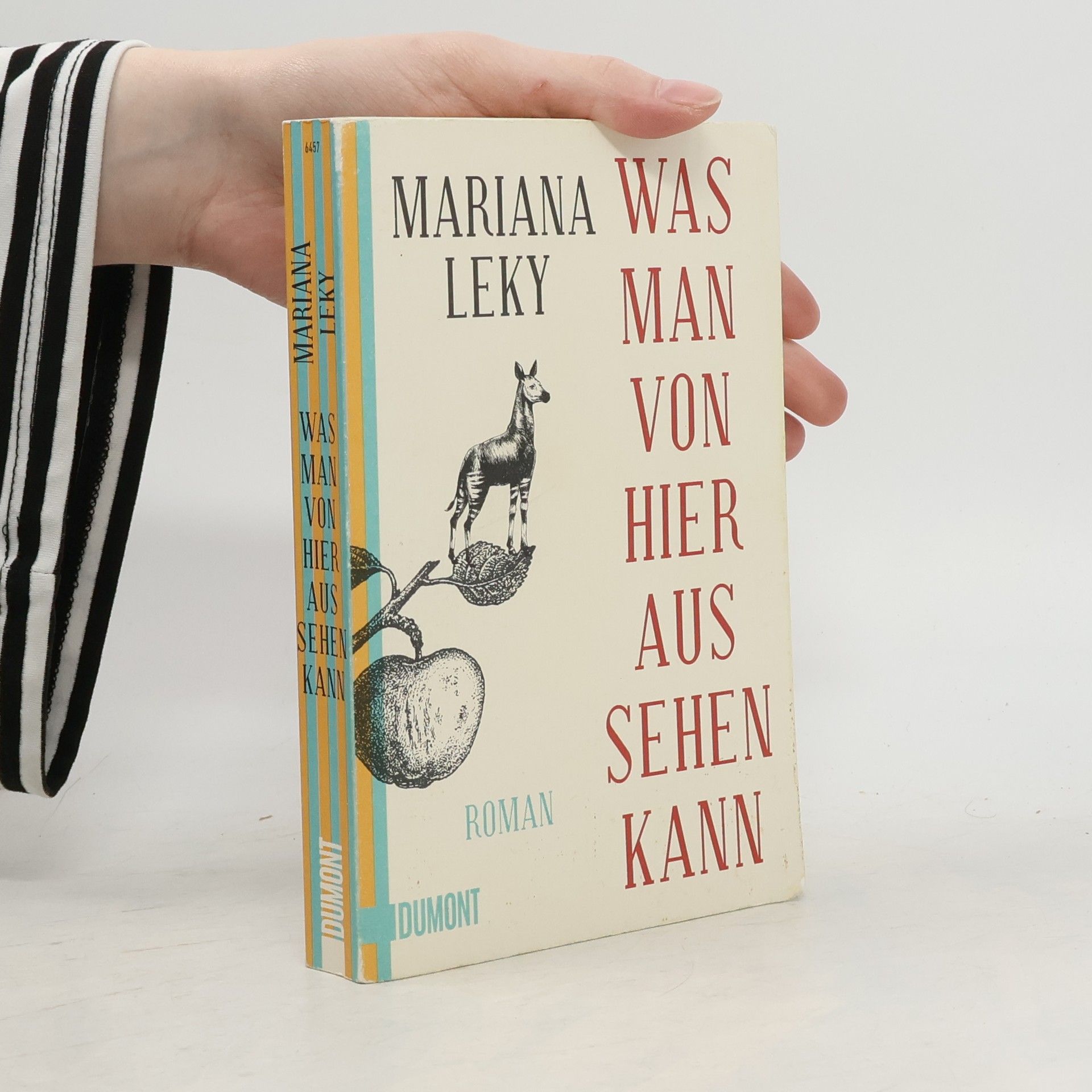 Mariana Leky Was man von hier aus sehen kann