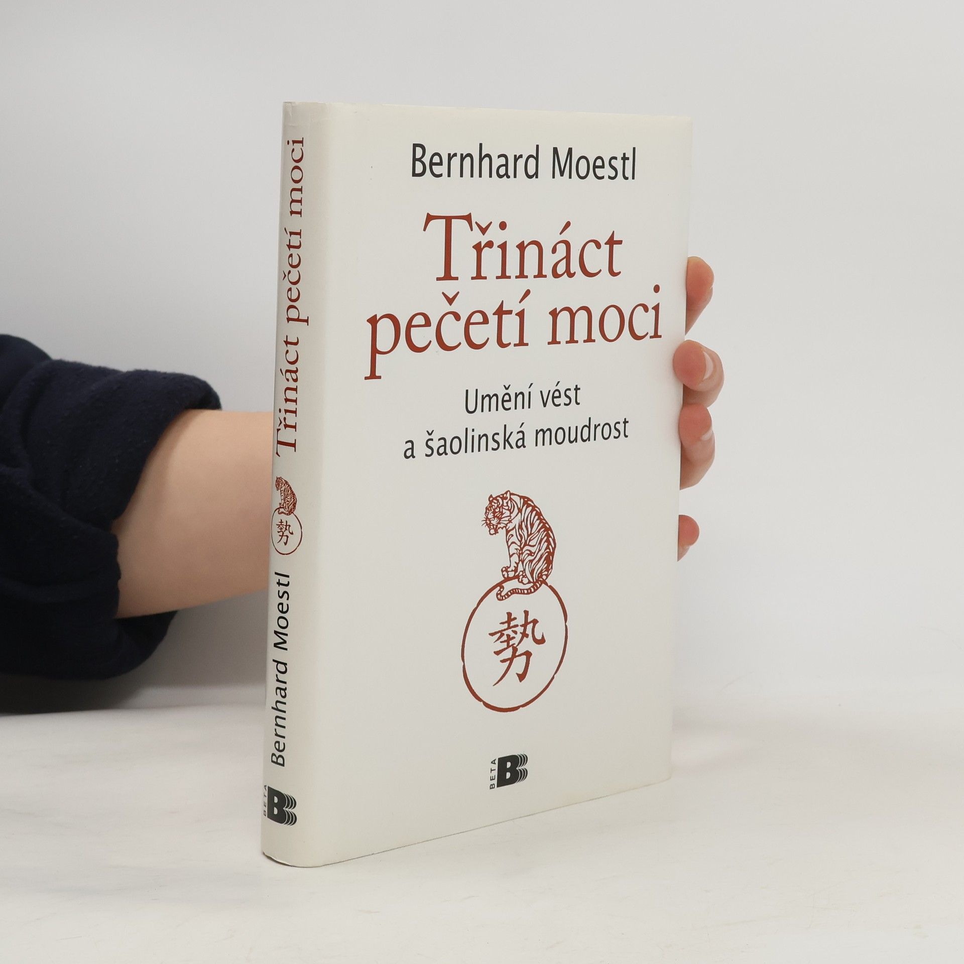 Bernhard Moestl Třináct pečetí moci : umění vést a šaolinská moudrost