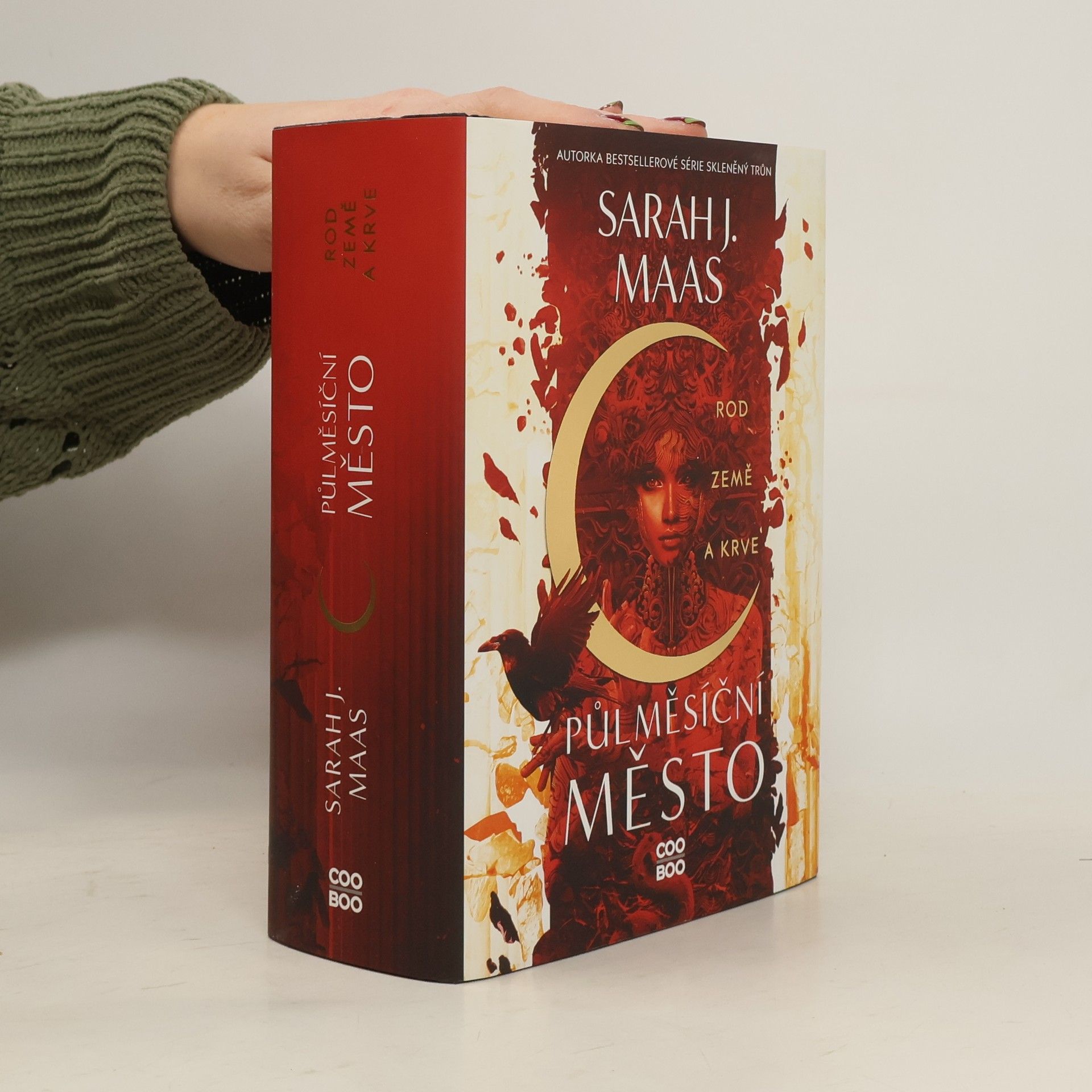 Sarah J. Maasová Rod země a krve