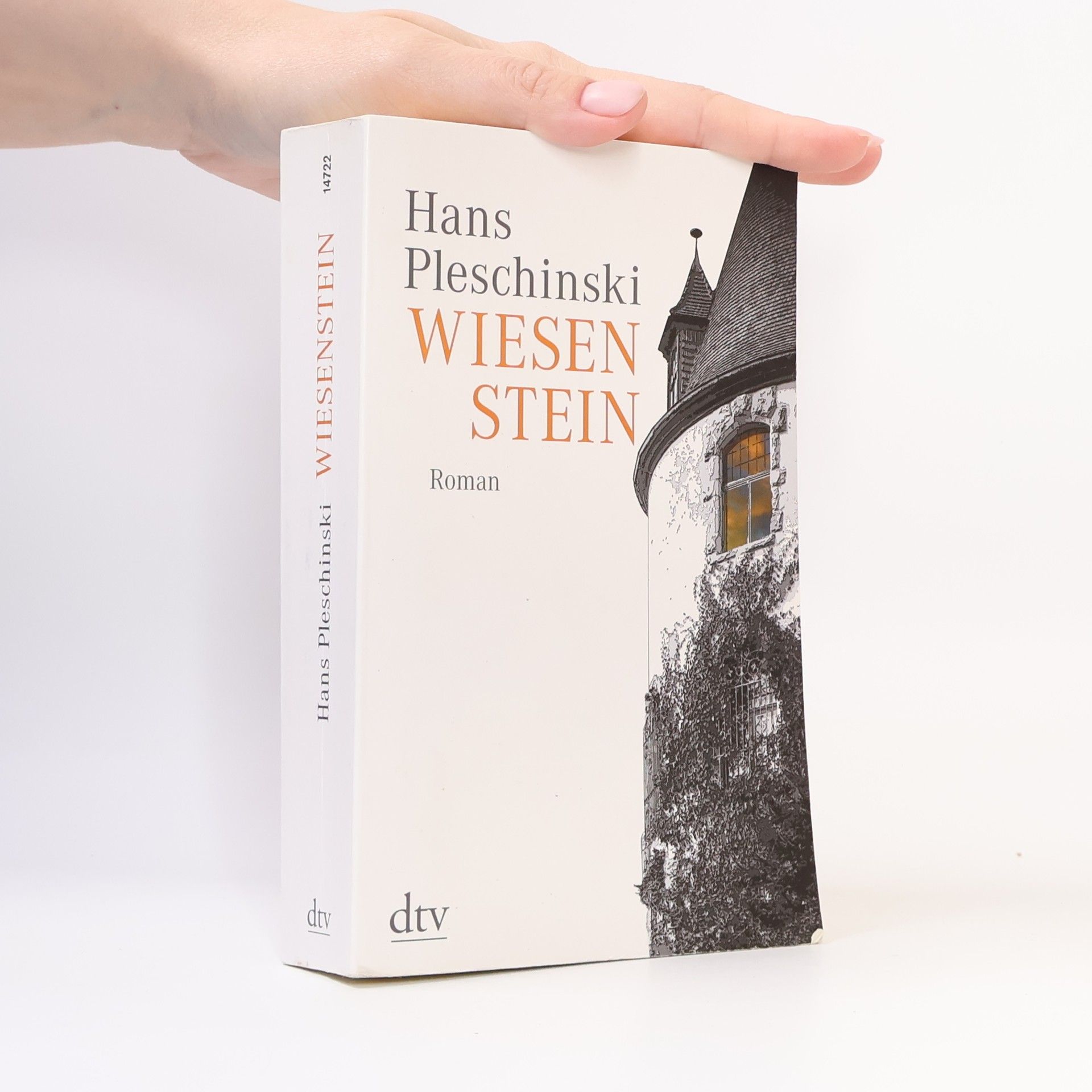 Hans Pleschinski Wiesenstein