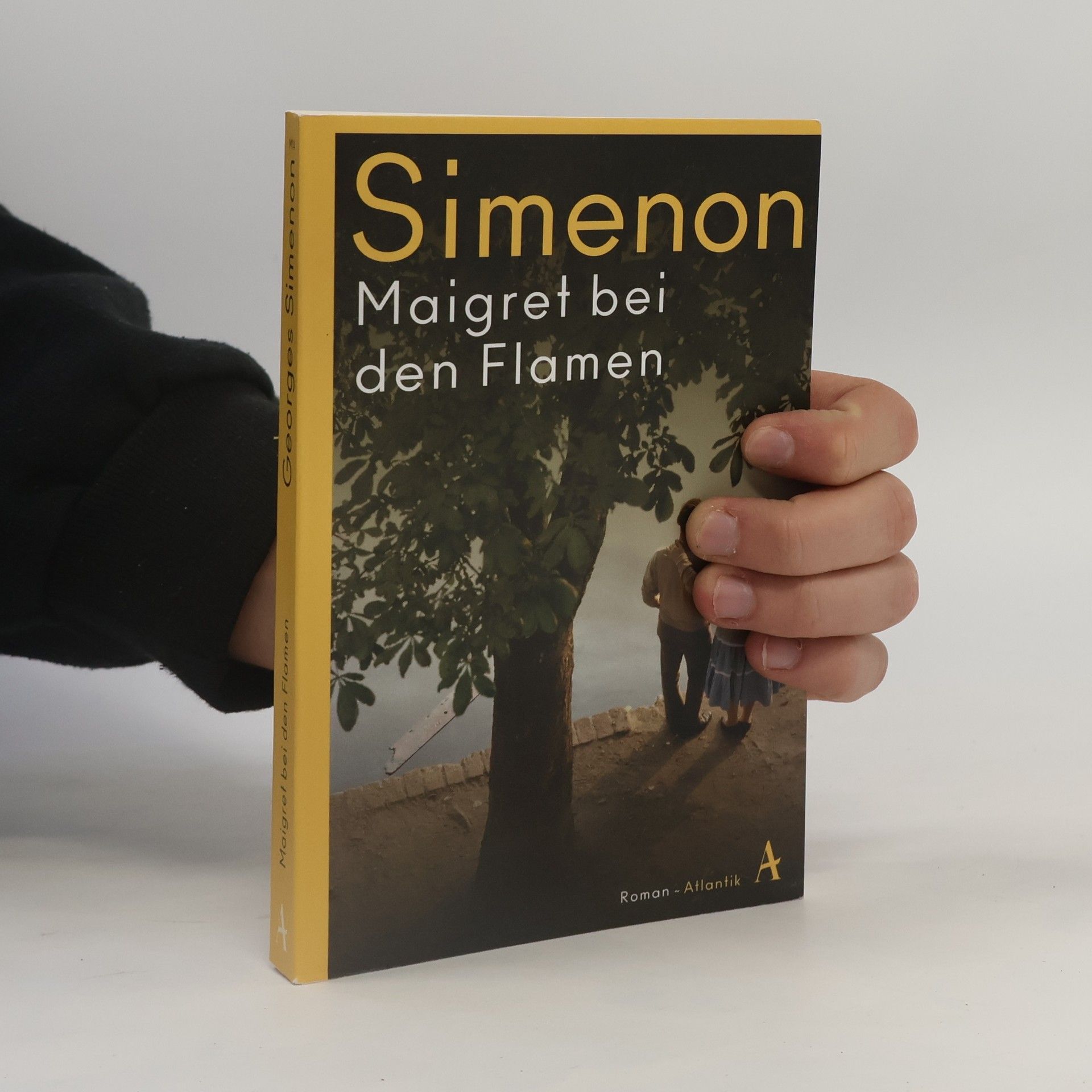 Georges Simenon Maigret bei den Flamen