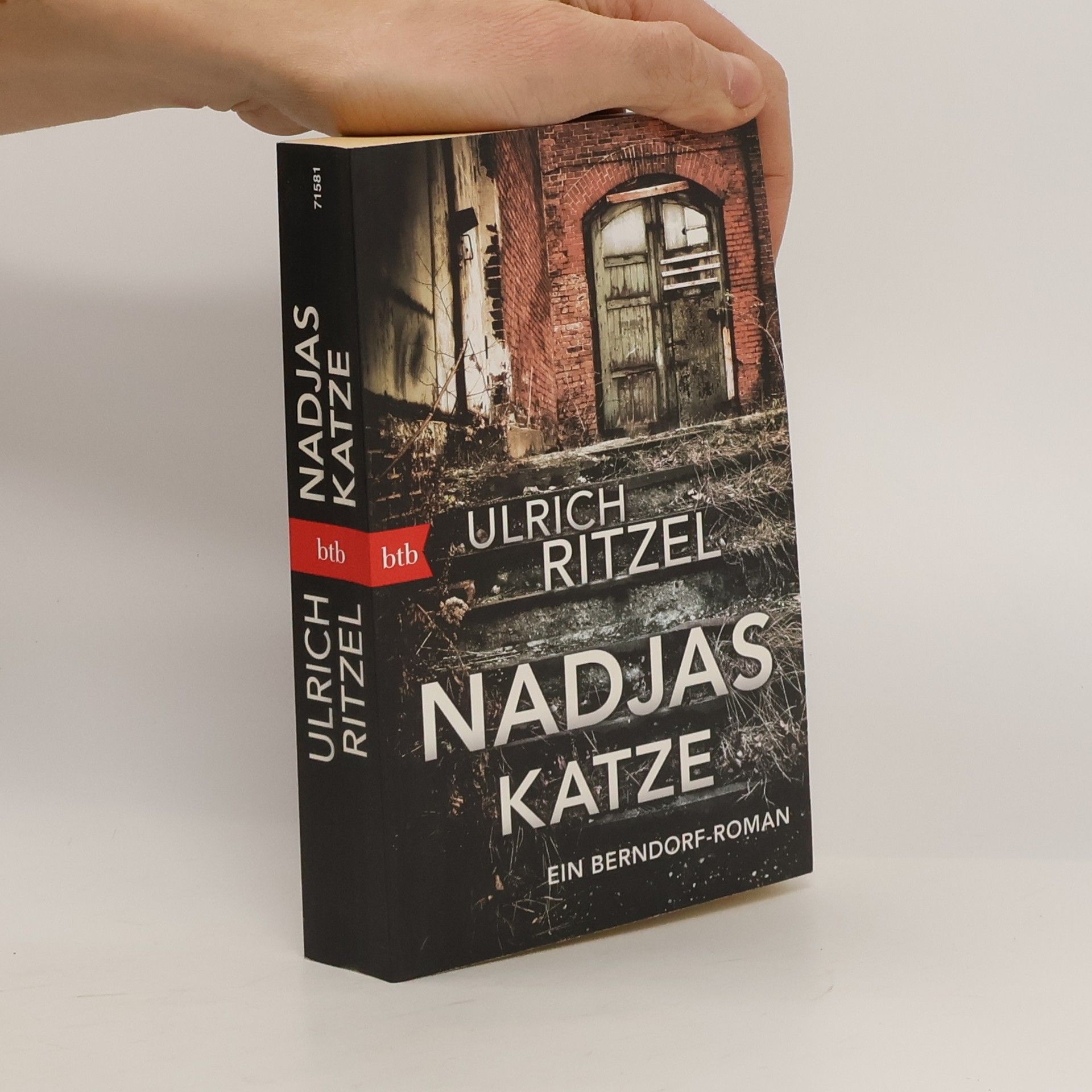 Ulrich Ritzel Nadjas Katze