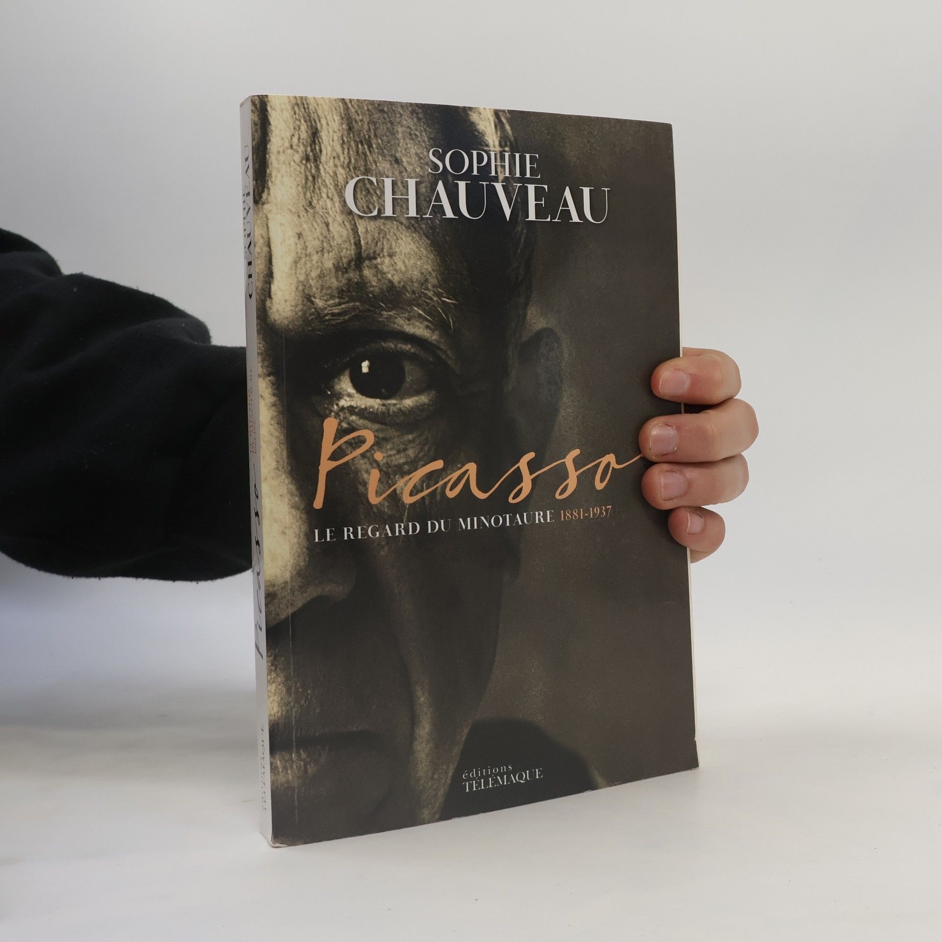 Sophie Chauveau Picasso