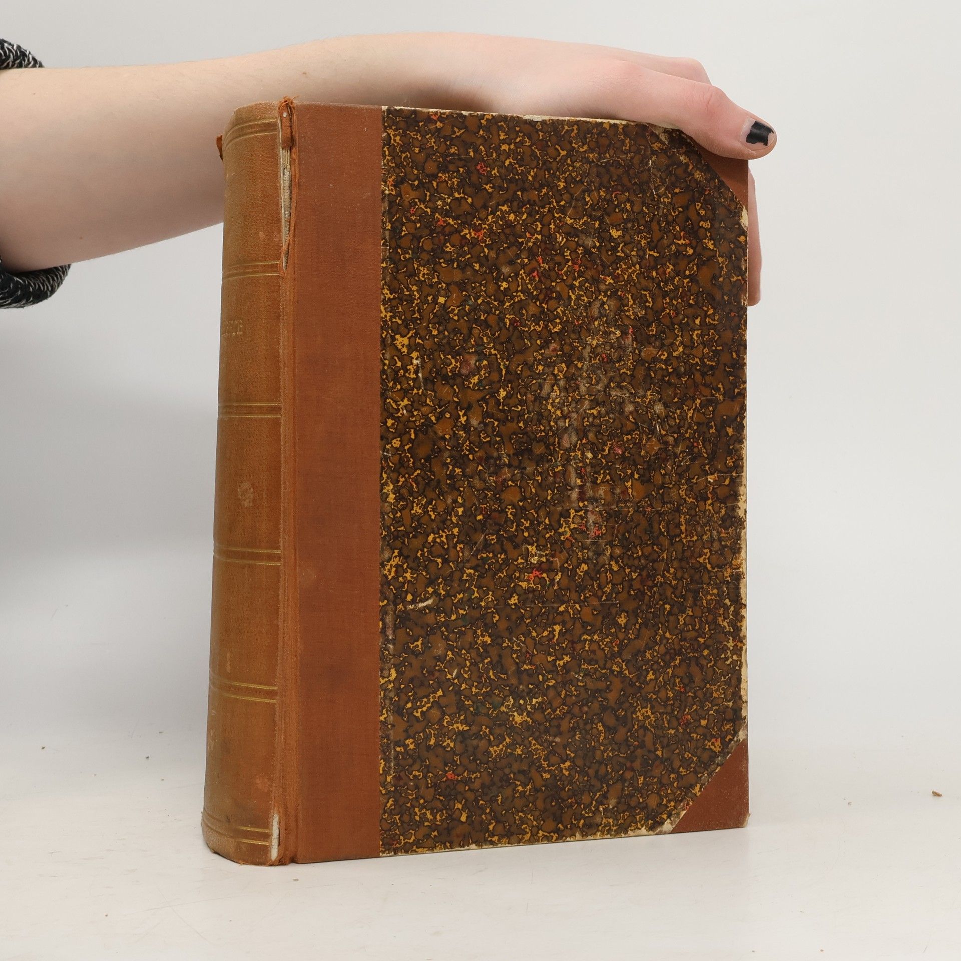 Autorenkollektiv Velhagen & Klasings Monatshefte. Band 1