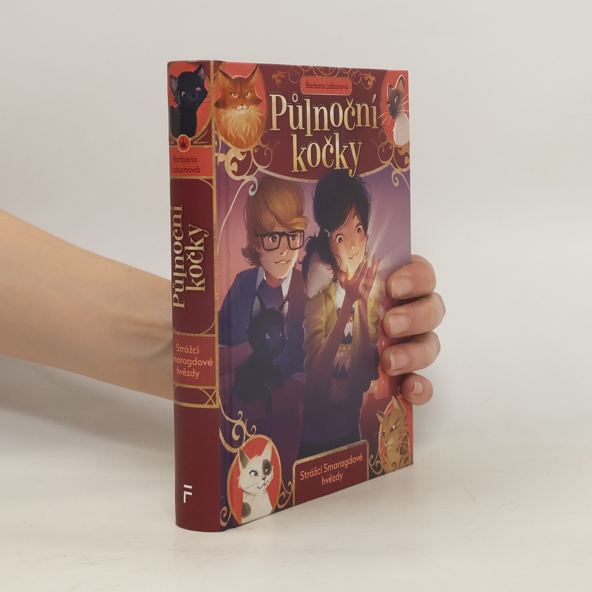 Půlnoční kočky. Strážci Smaragdové hvězdy