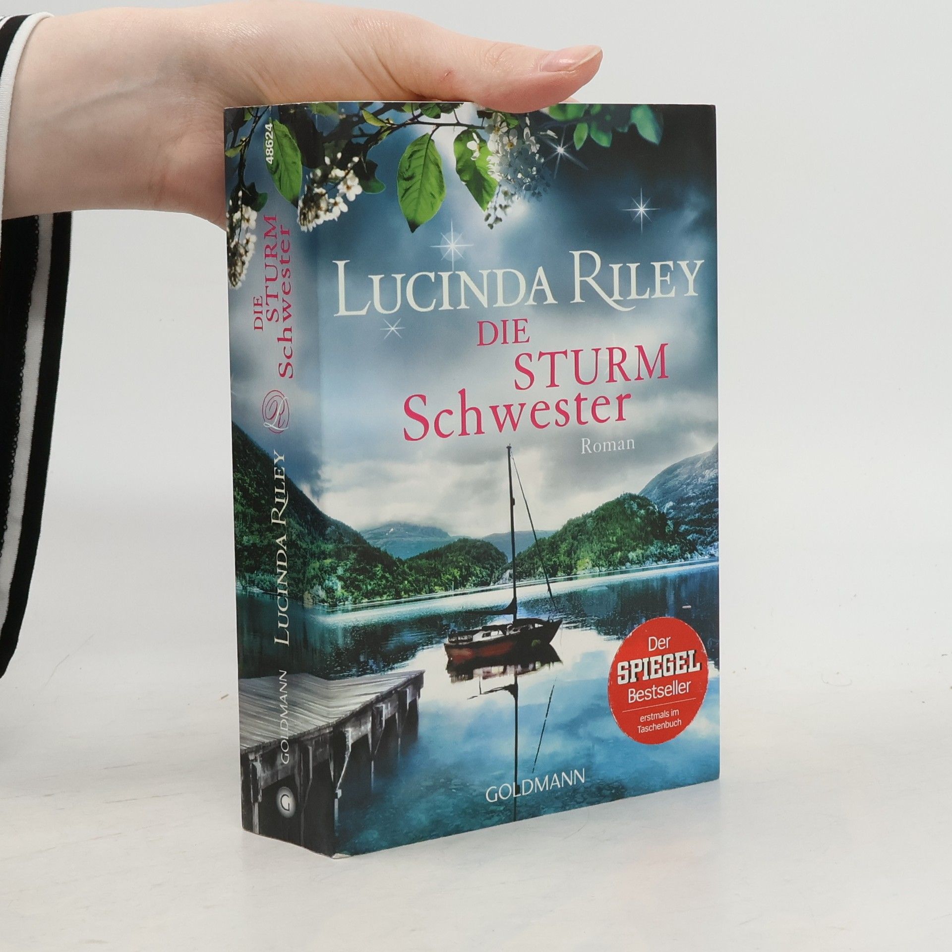 Lucinda Riley Die Sturmschwester