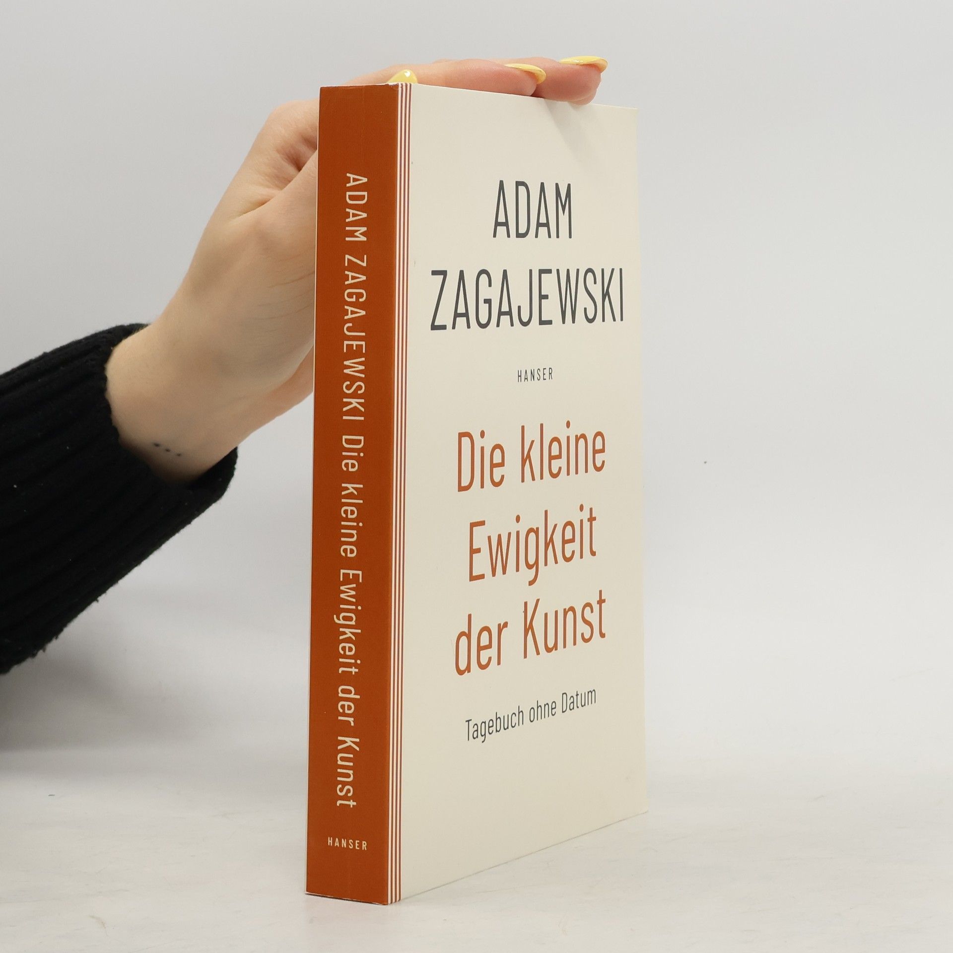 Adam Zagajewski Die kleine Ewigkeit der Kunst