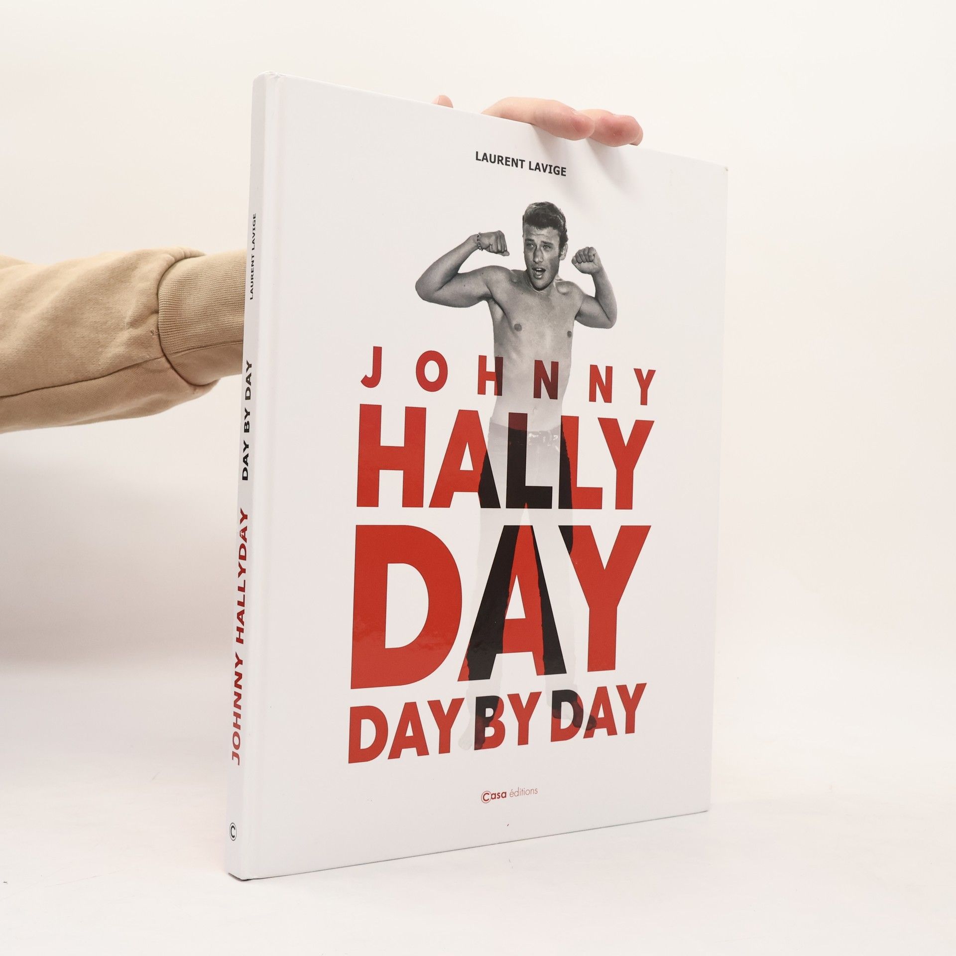 Laurent Lavige Johnny Hallyday