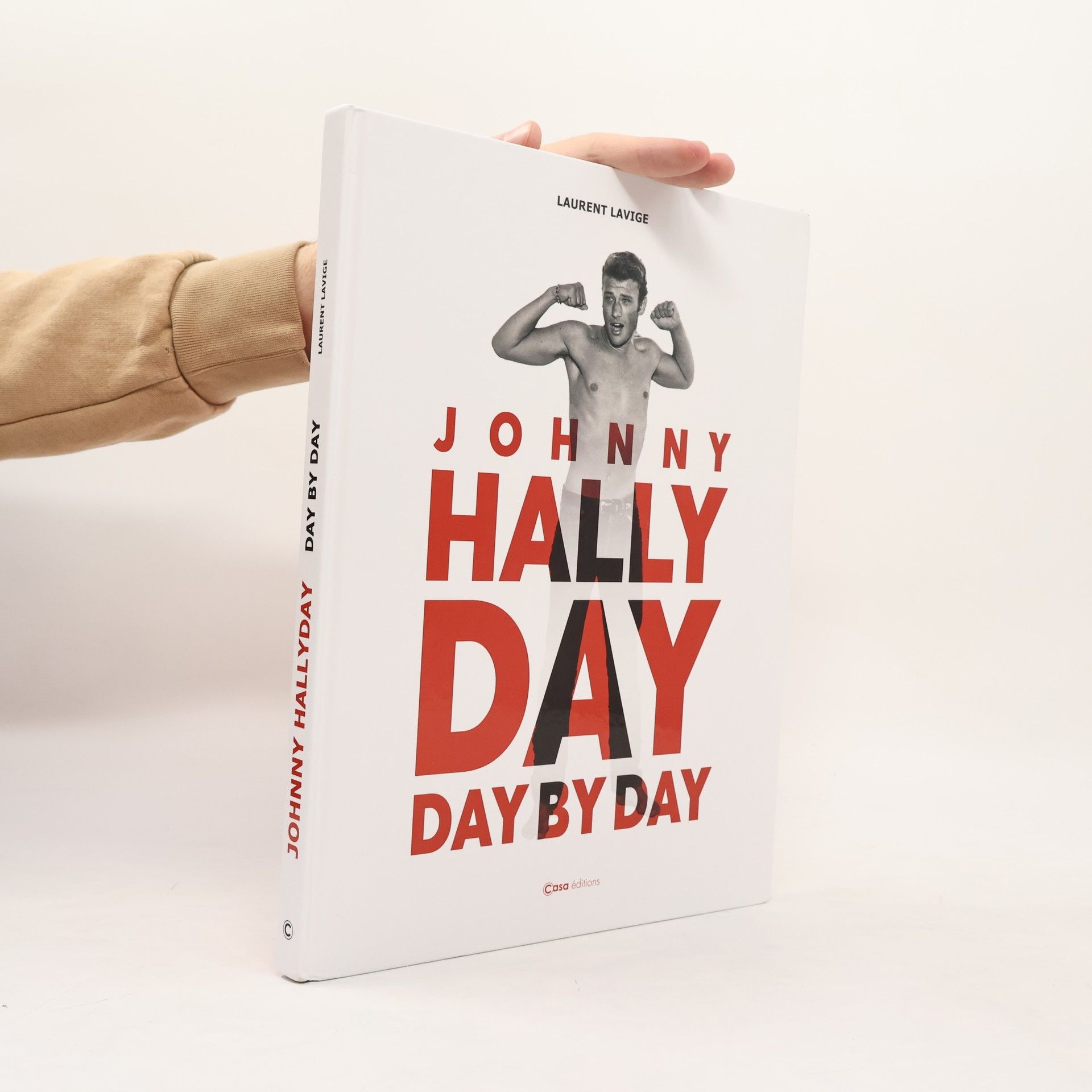 Laurent Lavige Johnny Hallyday
