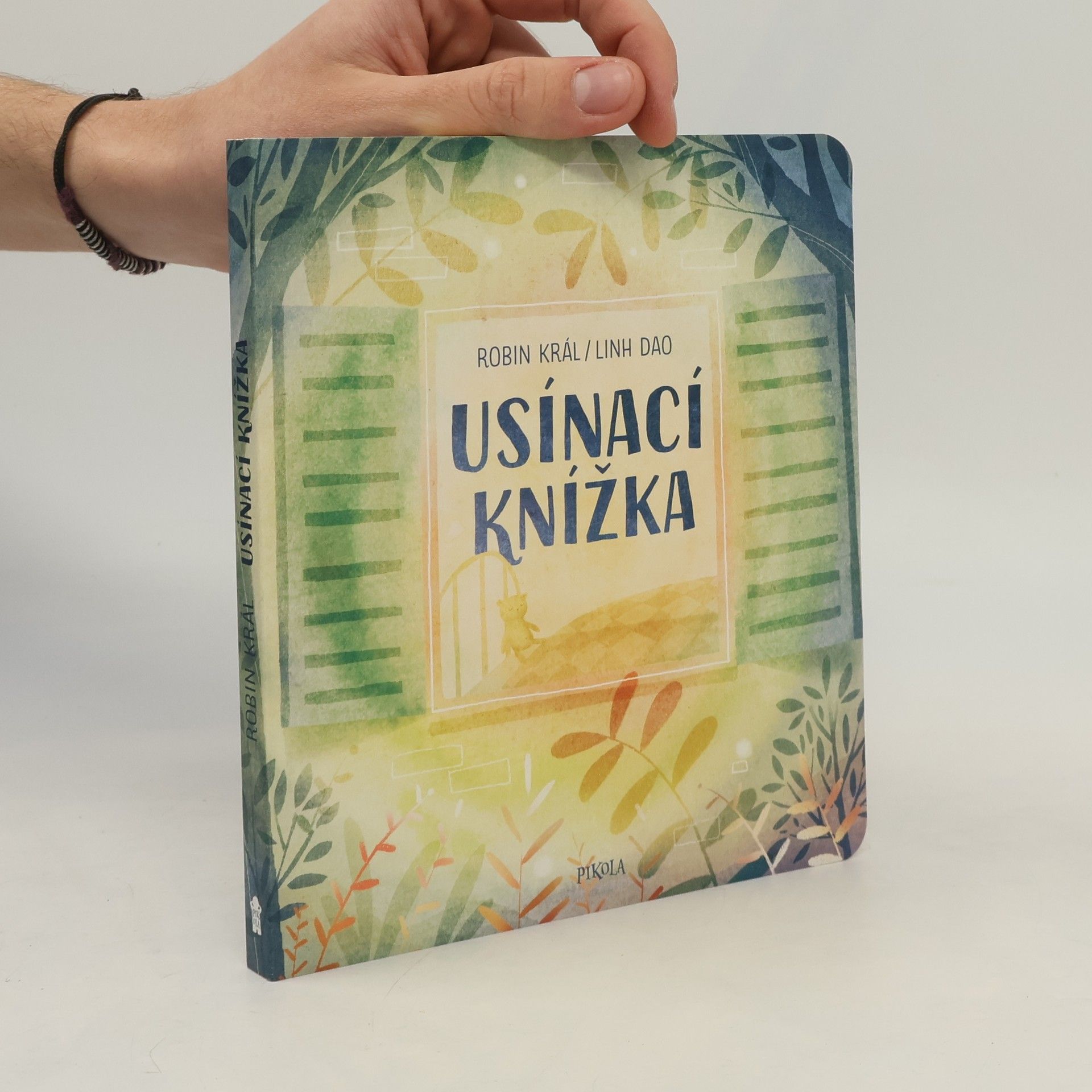 Robin Král Usínací knížka